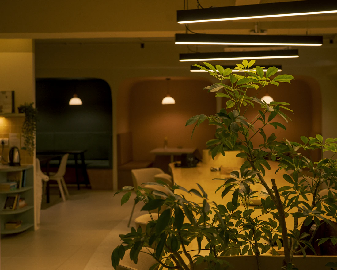 A modern lounge interior with plants and warm lighting
