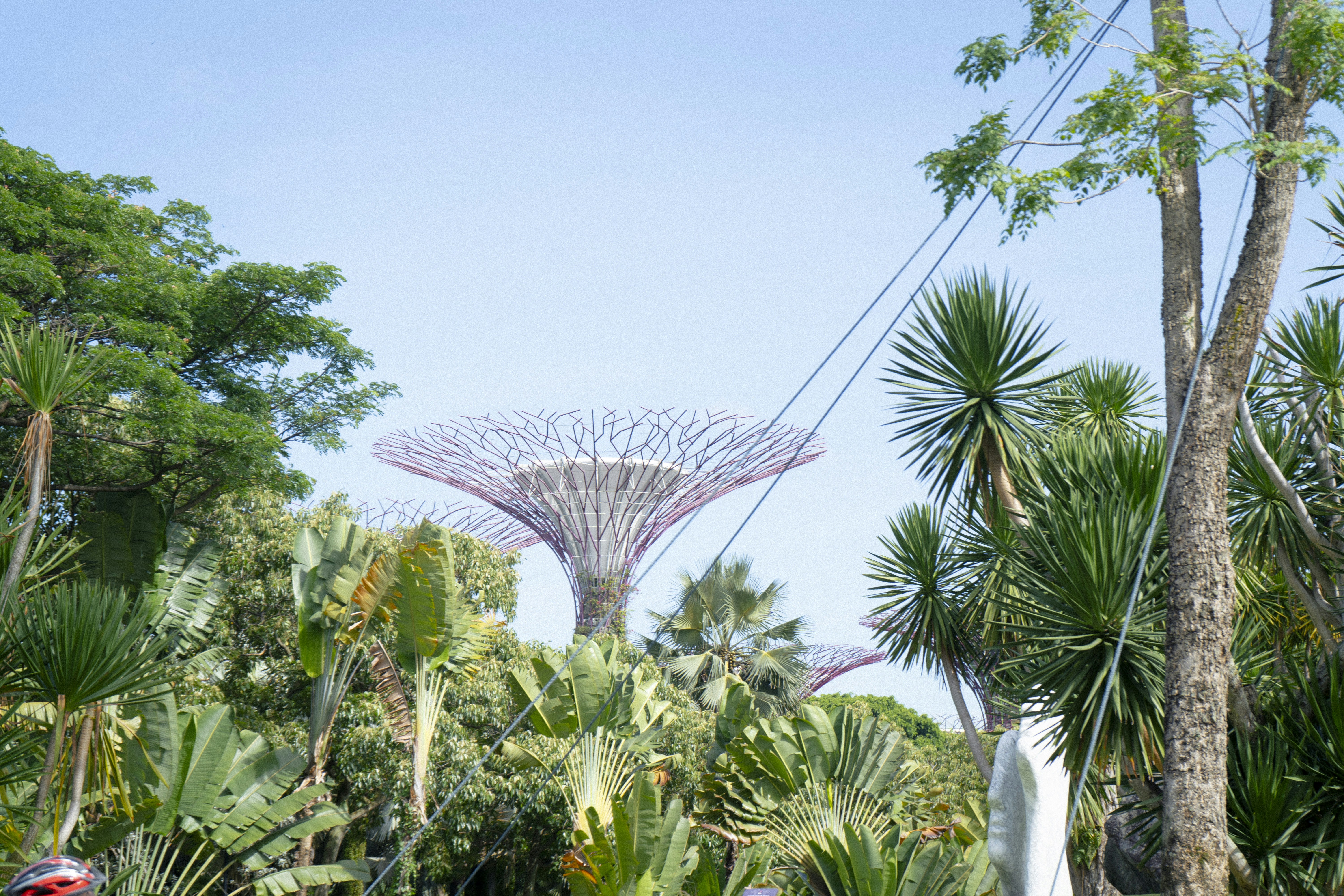 Gardens by the Bay: Culinary Adventures
