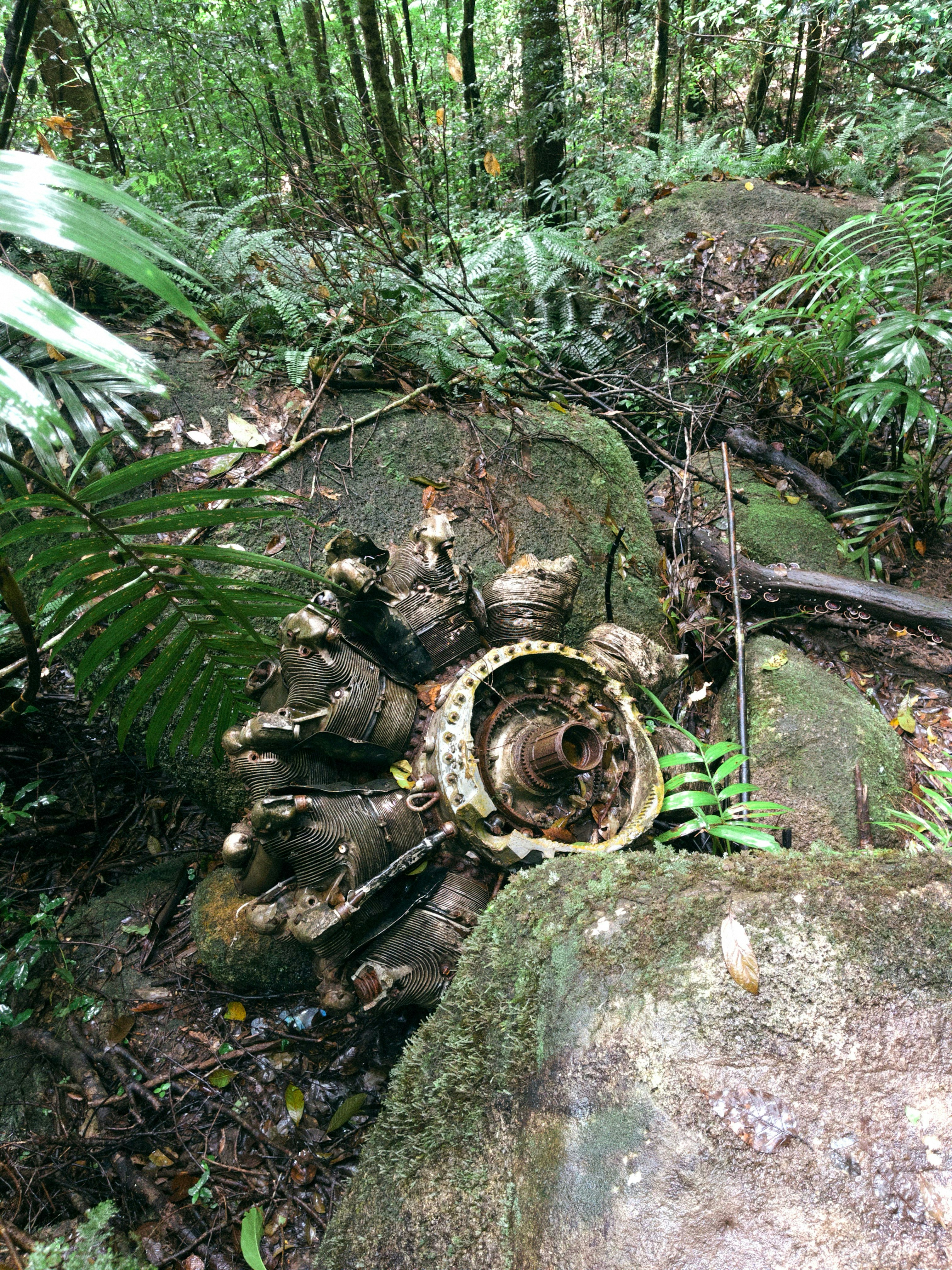 Wreckage of an engine in a lush green forest.
