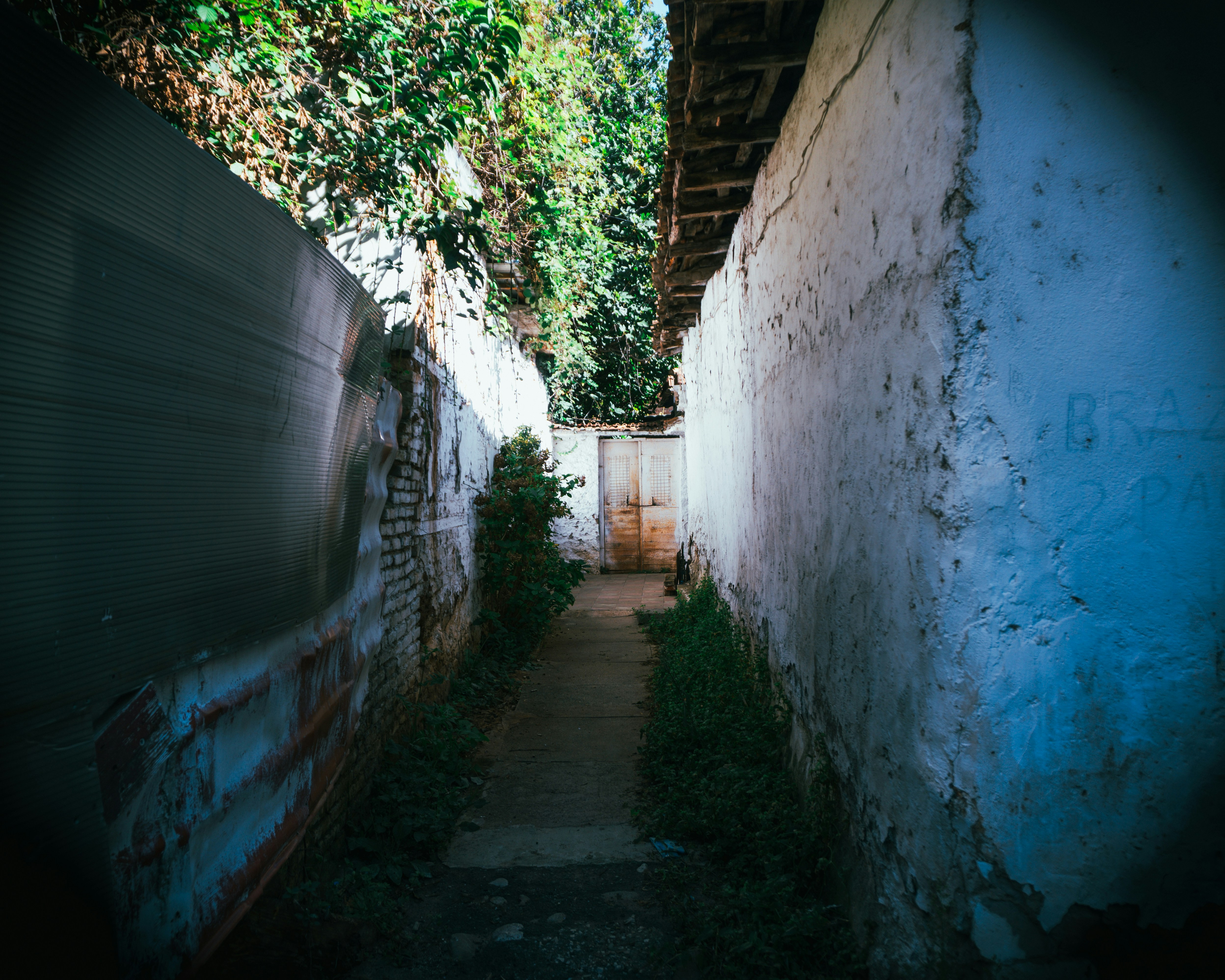 Narrow alleyway with overgrown plants and a distant door.