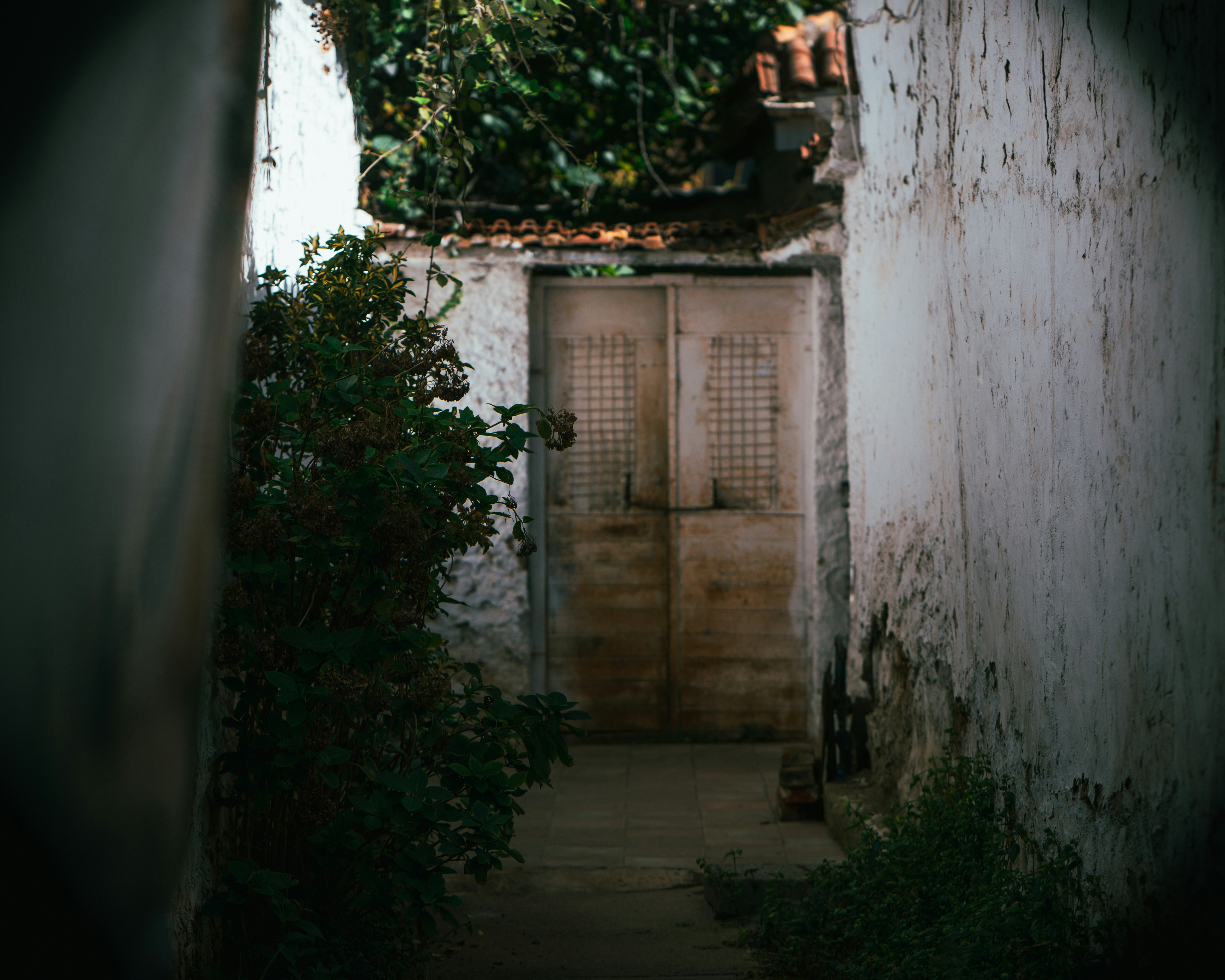 Narrow alleyway with an old weathered door.