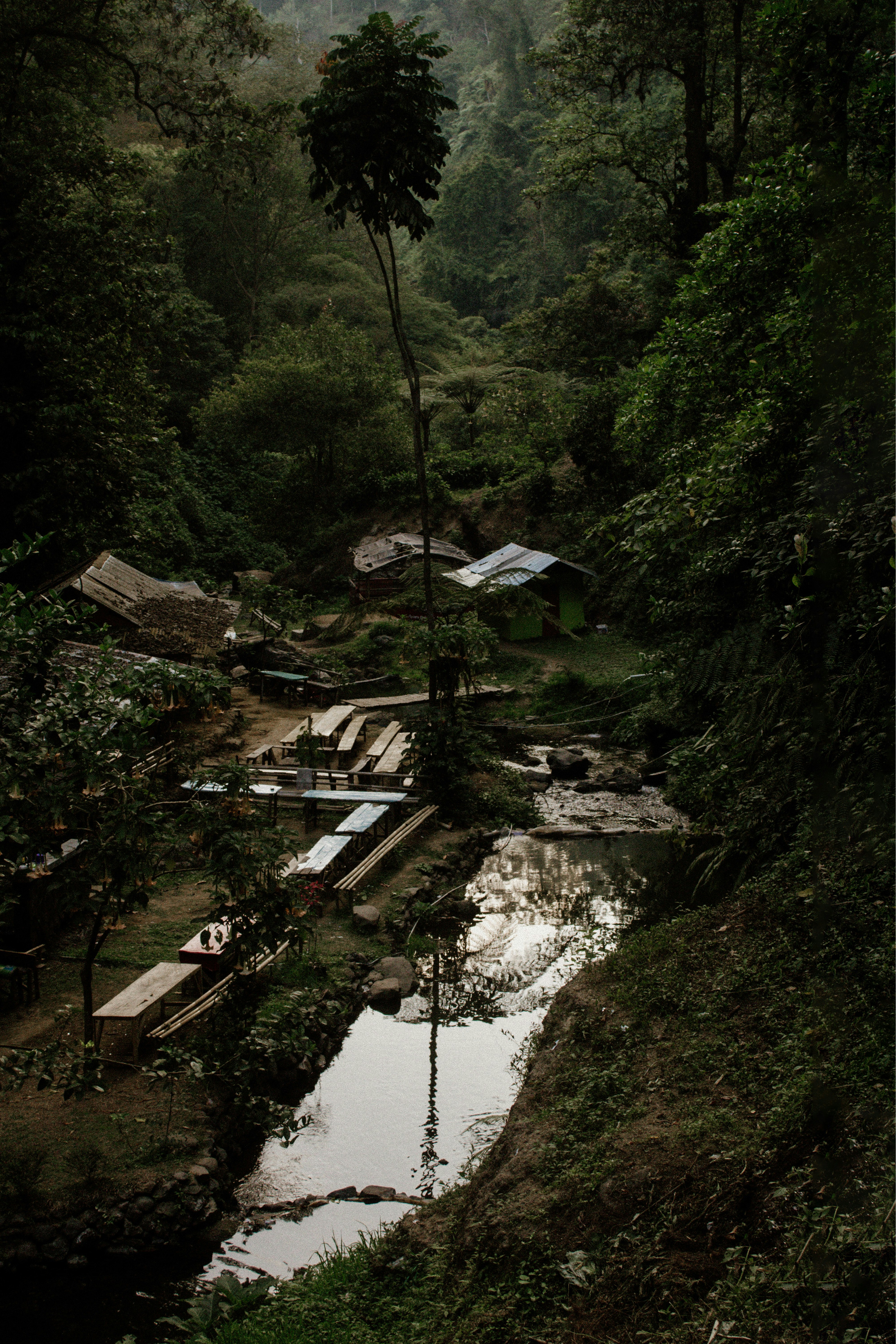 A serene forest scene with a stream and small huts.