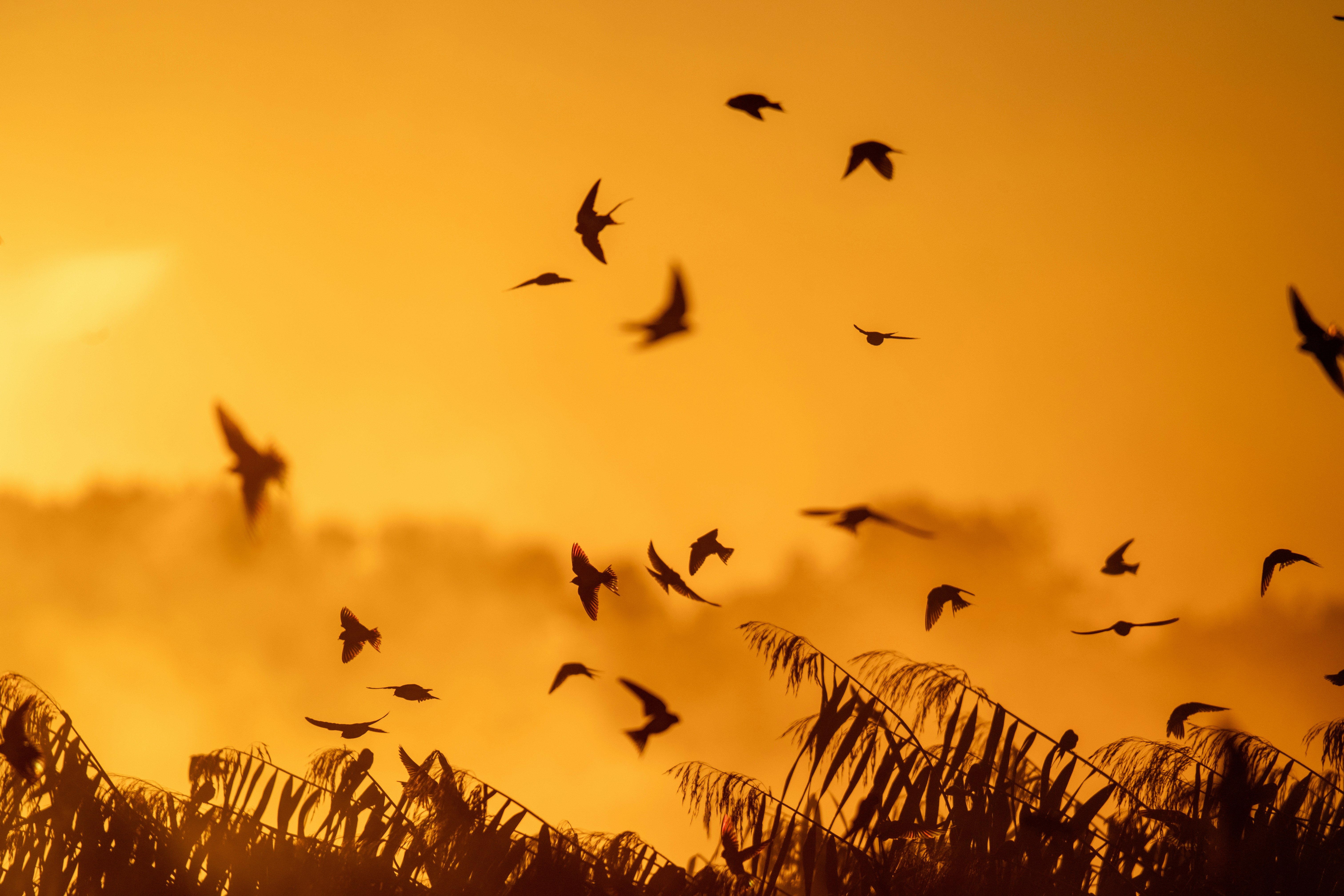 Photo by oj_wildframe