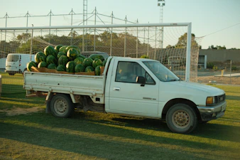 White pickup truck loaded with watermelons