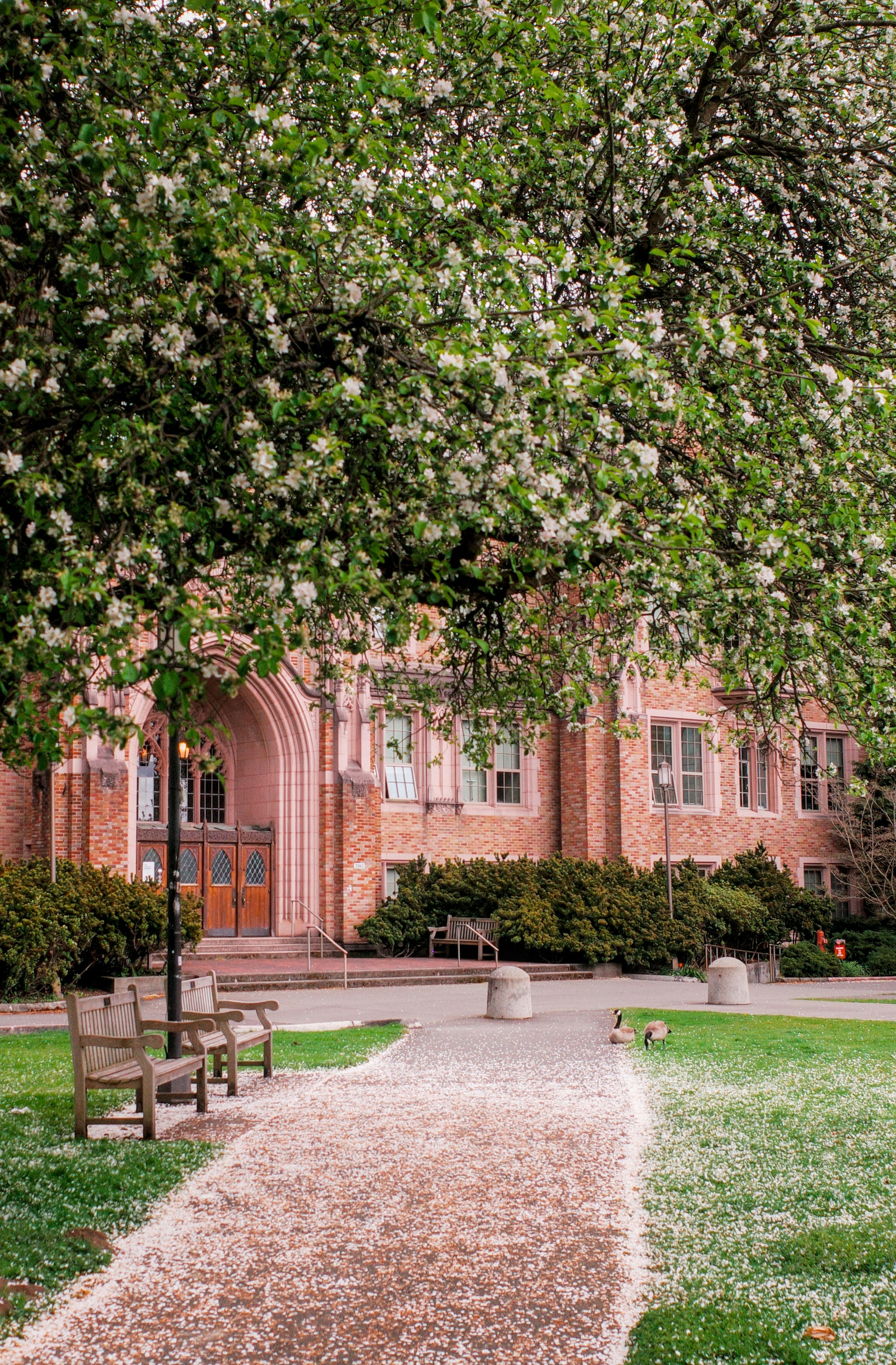 Photo by ilincaroman