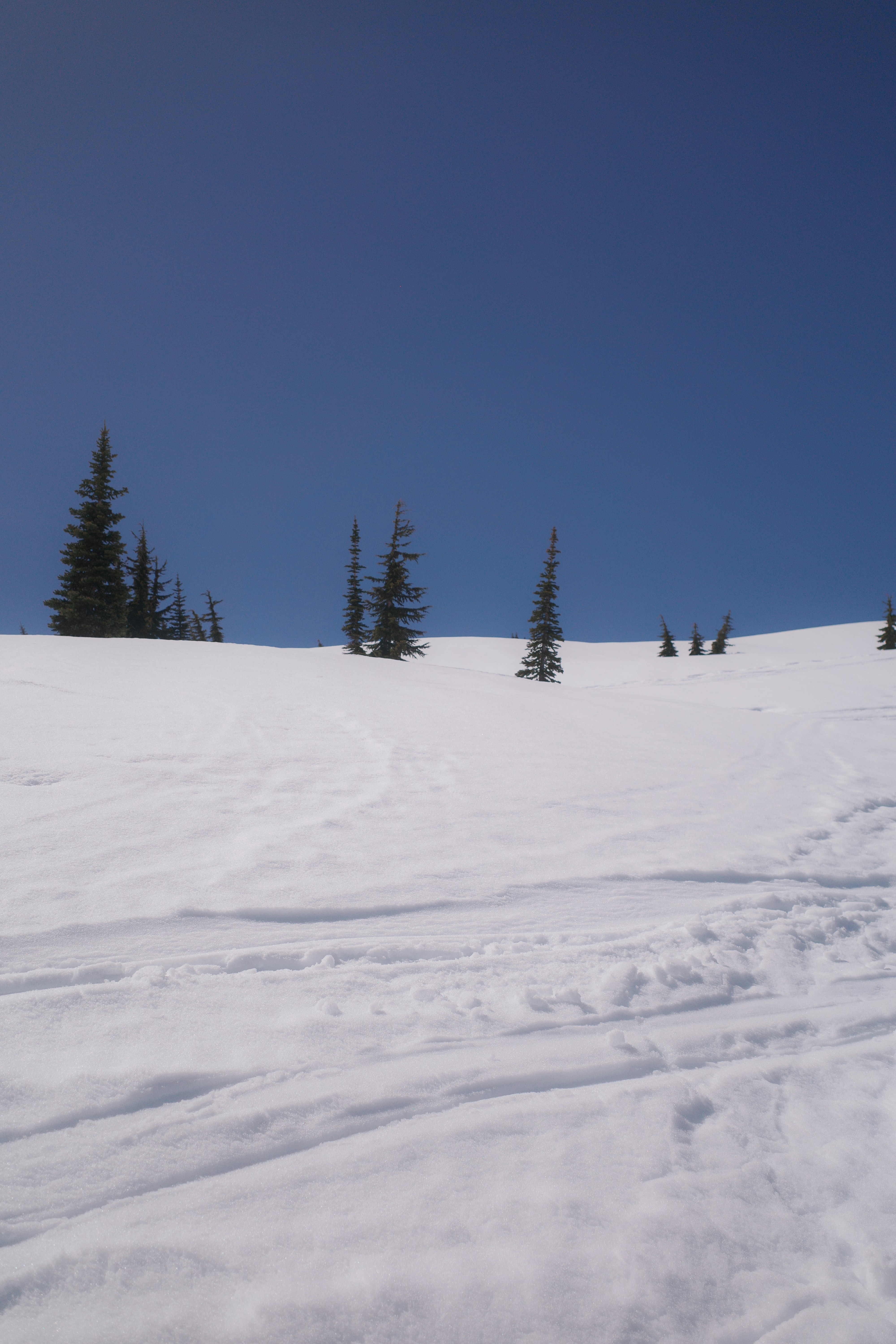 Photo by ilincaroman