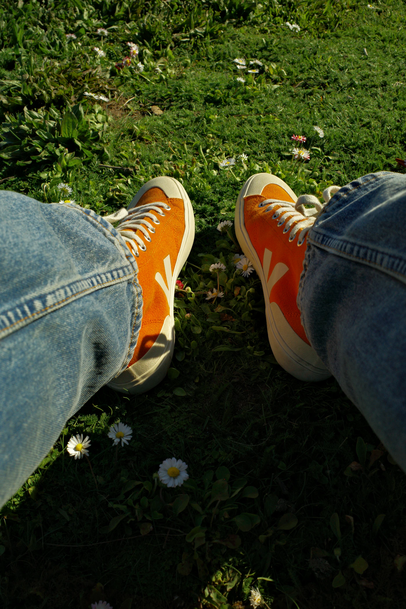 New fall sneakers