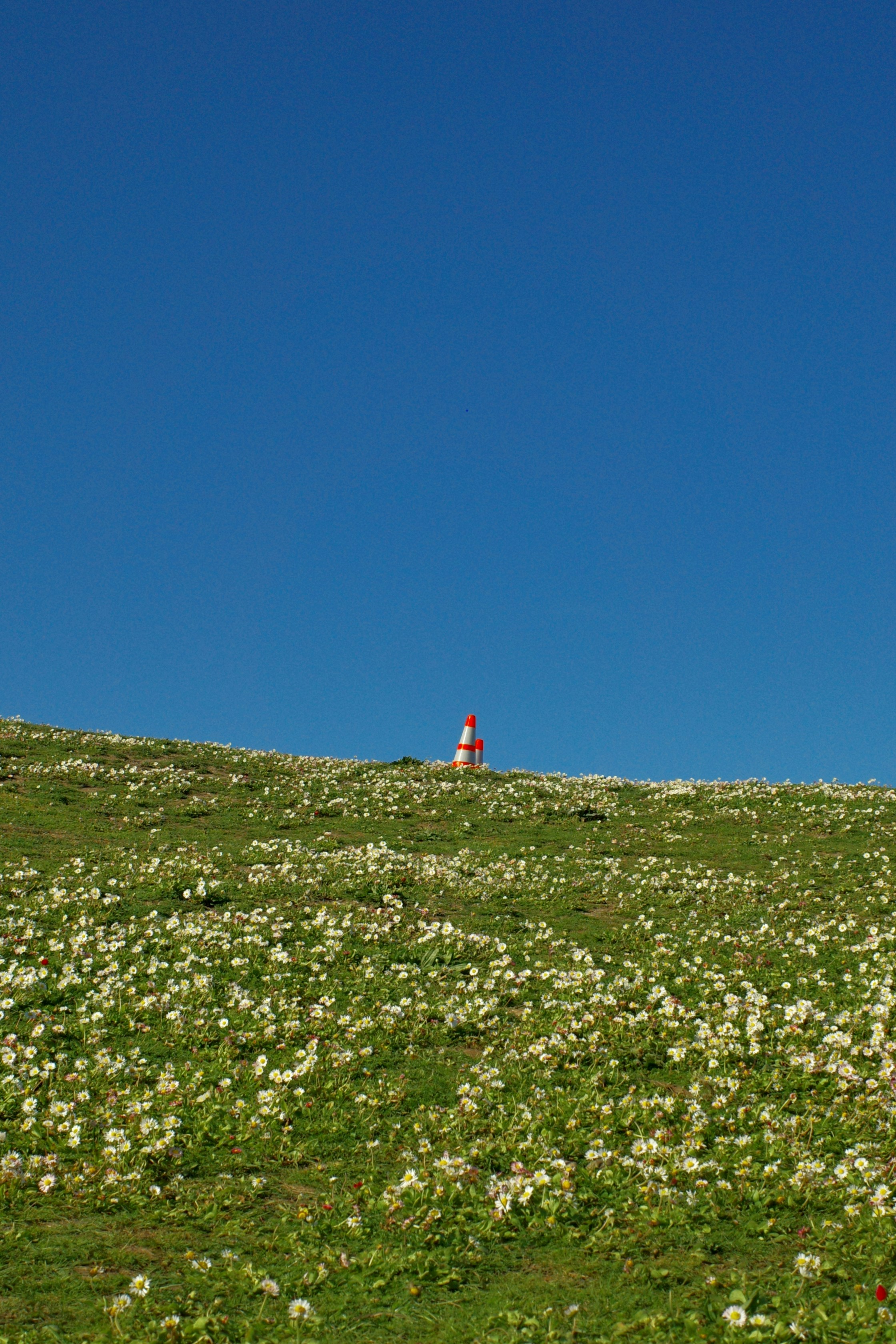 Photo by ilincaroman