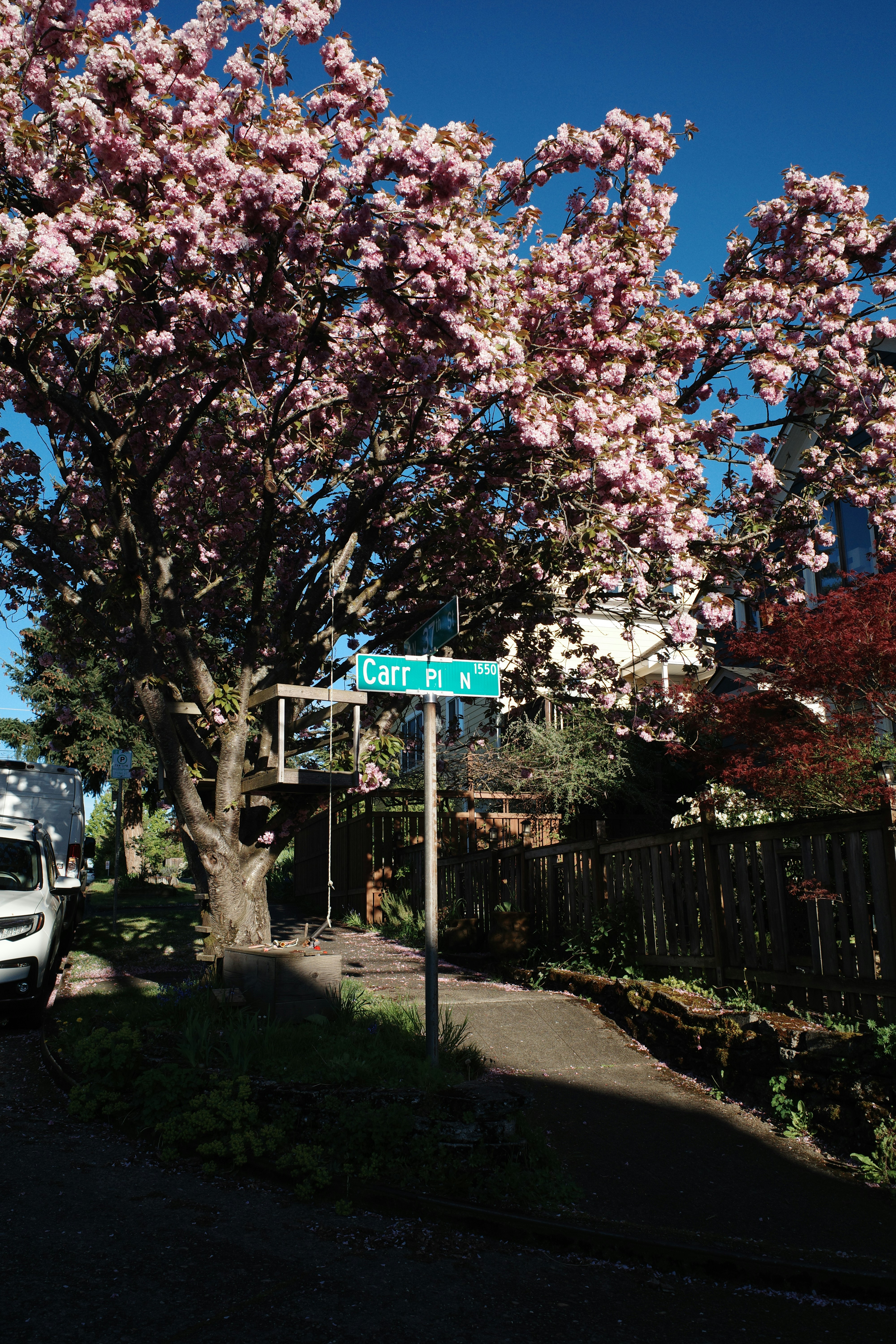 Photo by ilincaroman