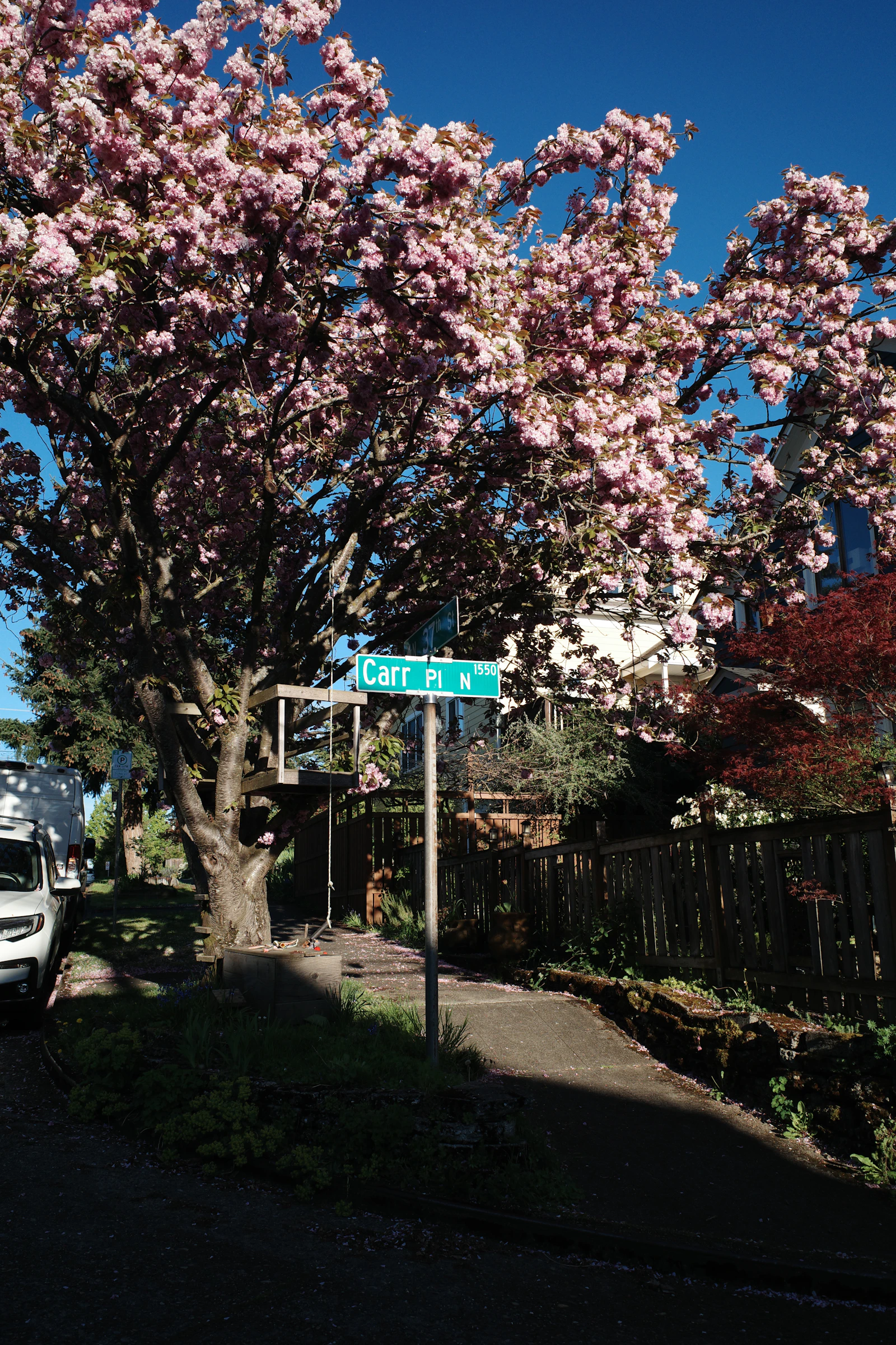 Street corner in a leafy neighborhood