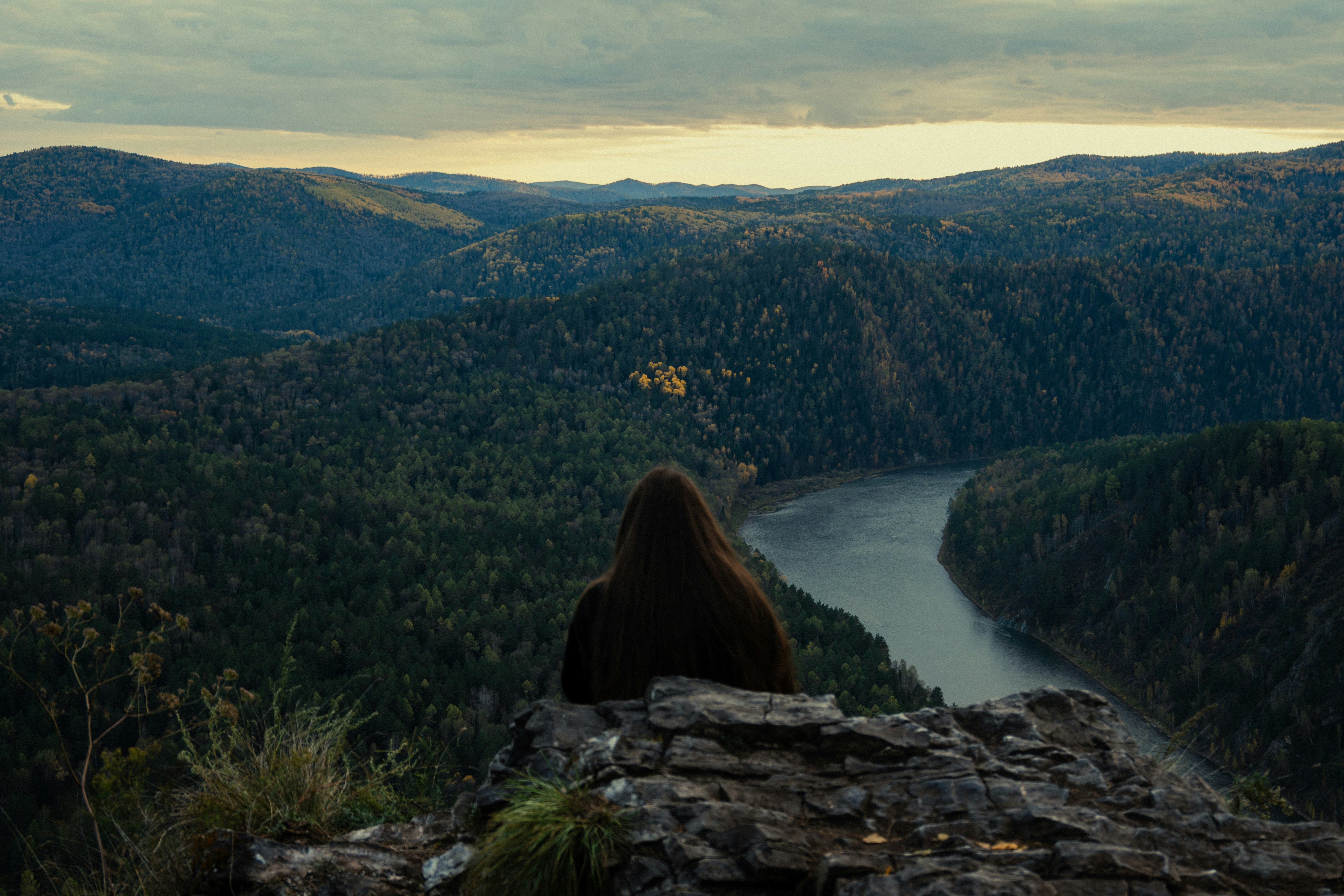 Person overlooking forest valley