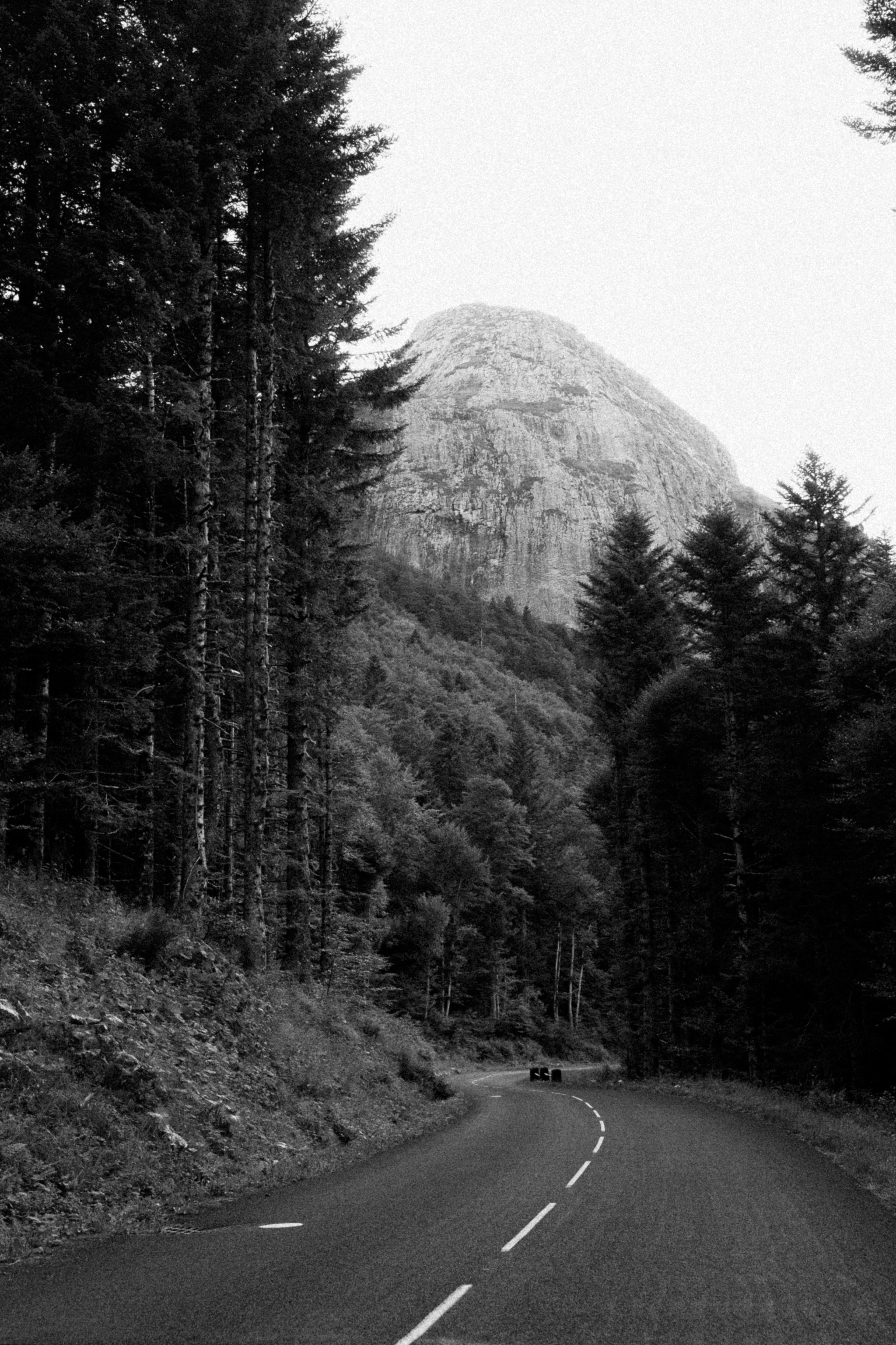 L'as des astres (Vol.2) | ASTROID, image size:3000x4500