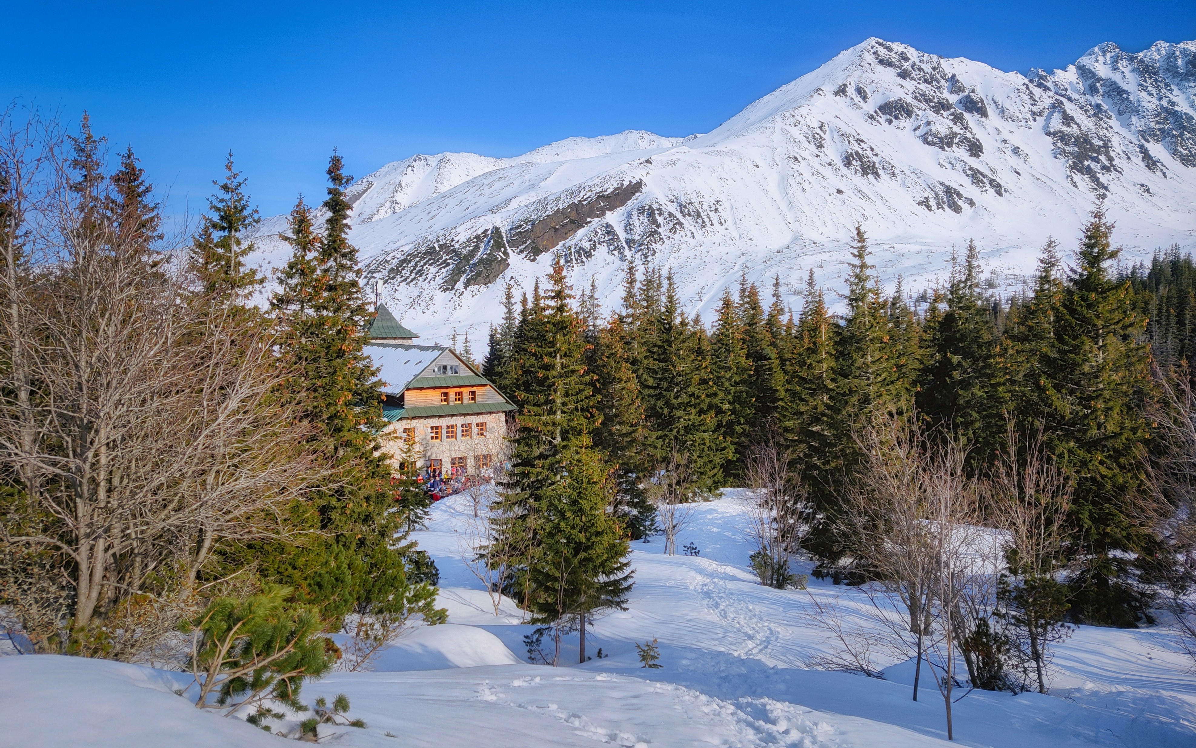A lodge nestled in a snowy forest with mountains behind.