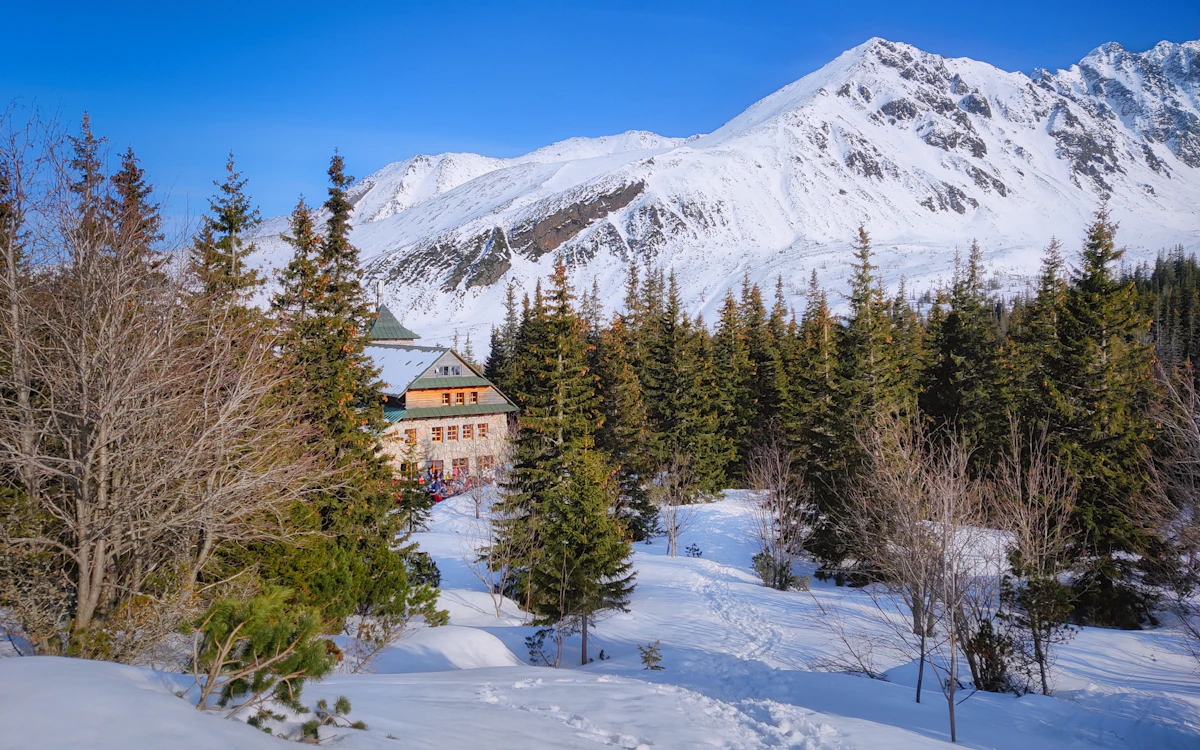 A lodge nestled in a snowy forest with mountains behind