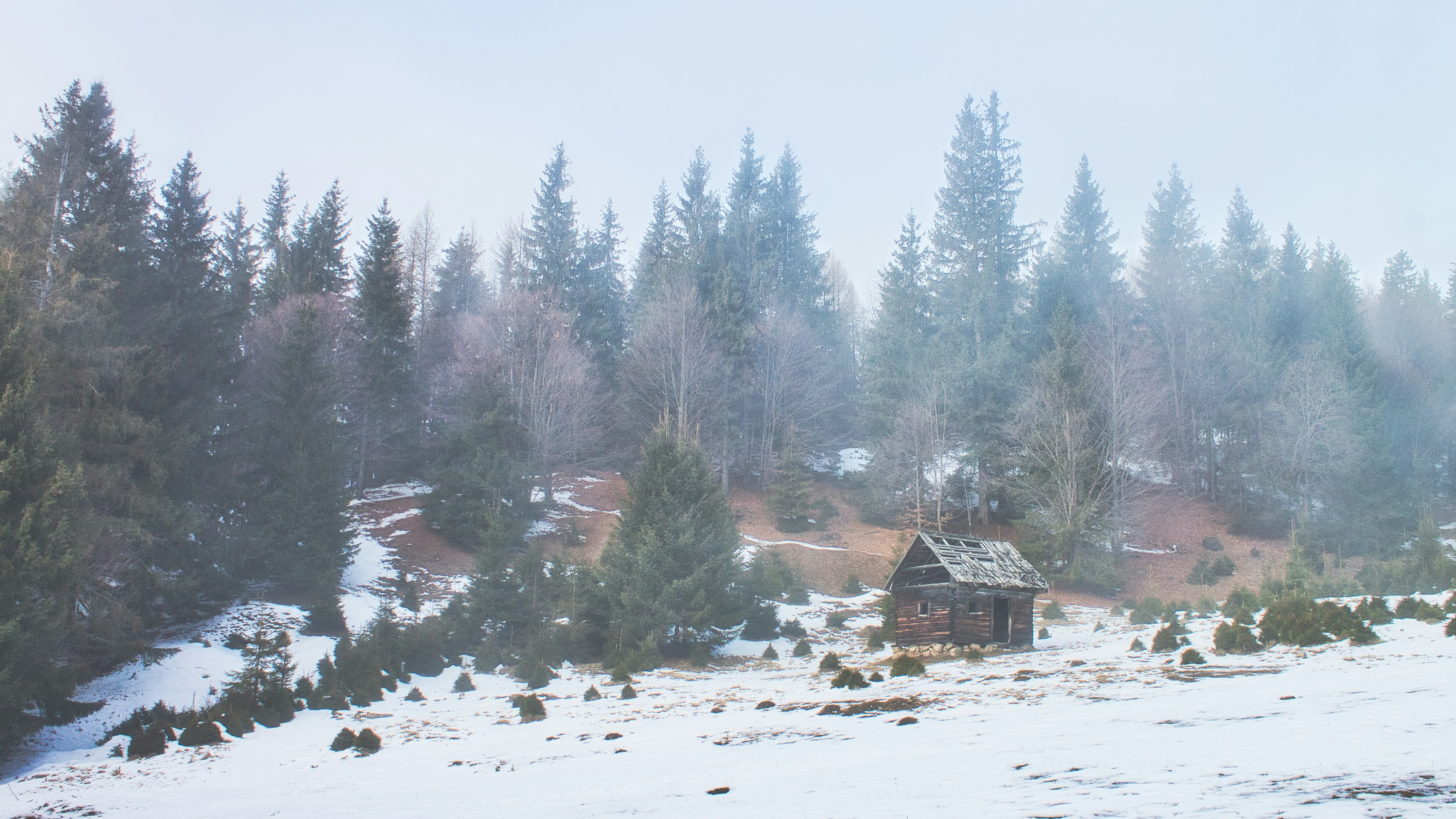 Small wooden cabin in a snowy forest landscape