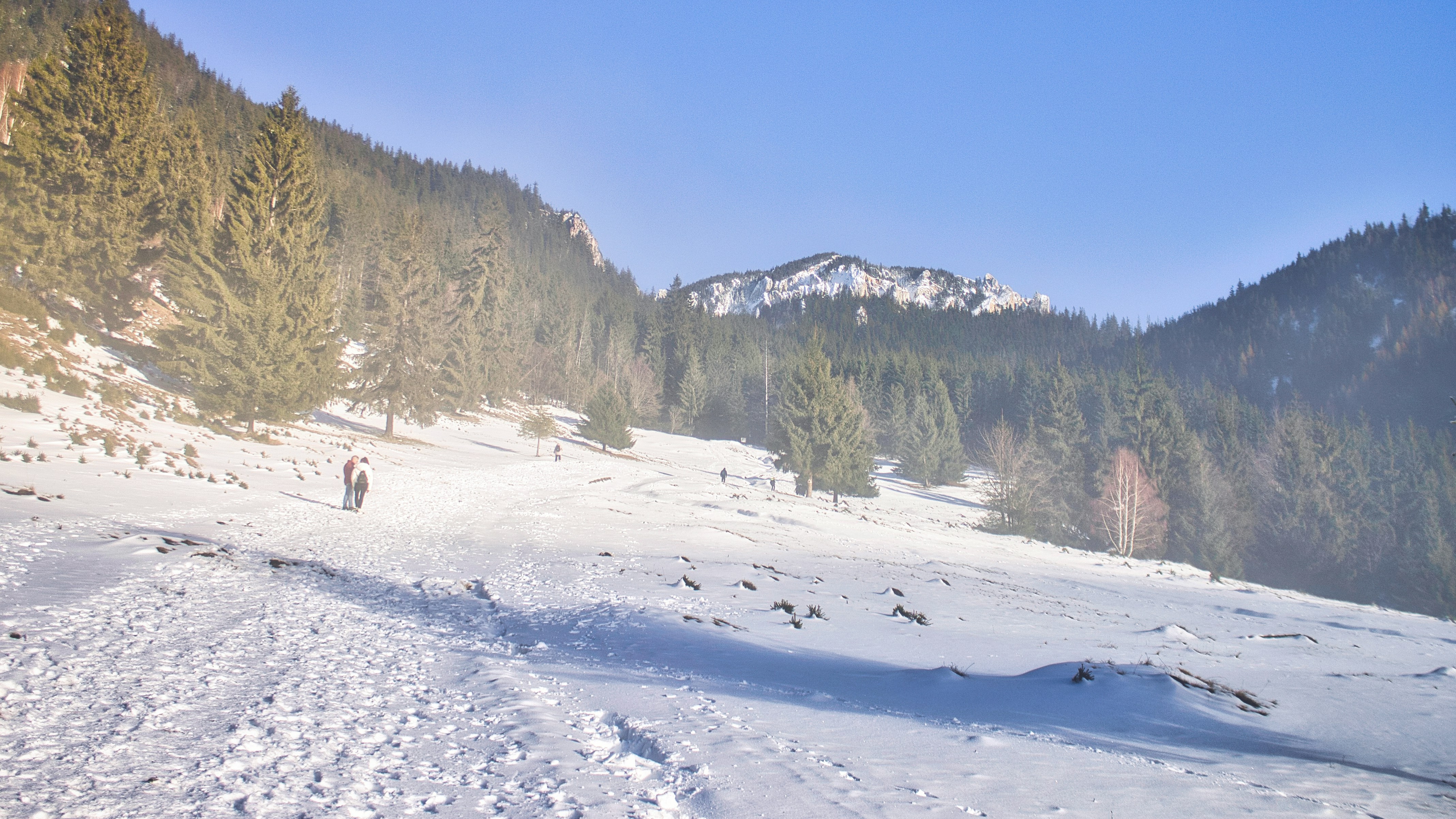 Two hikers walking on a snowy mountain trail.