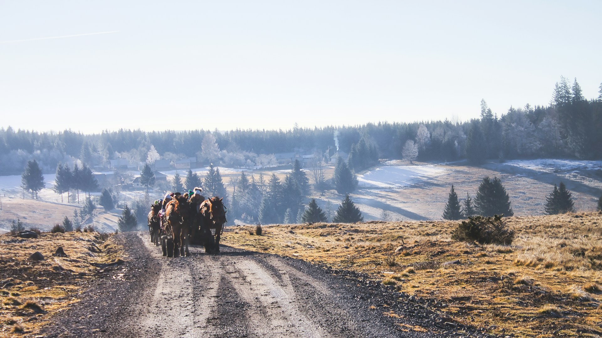 Horses pulling a cart on a dirt road