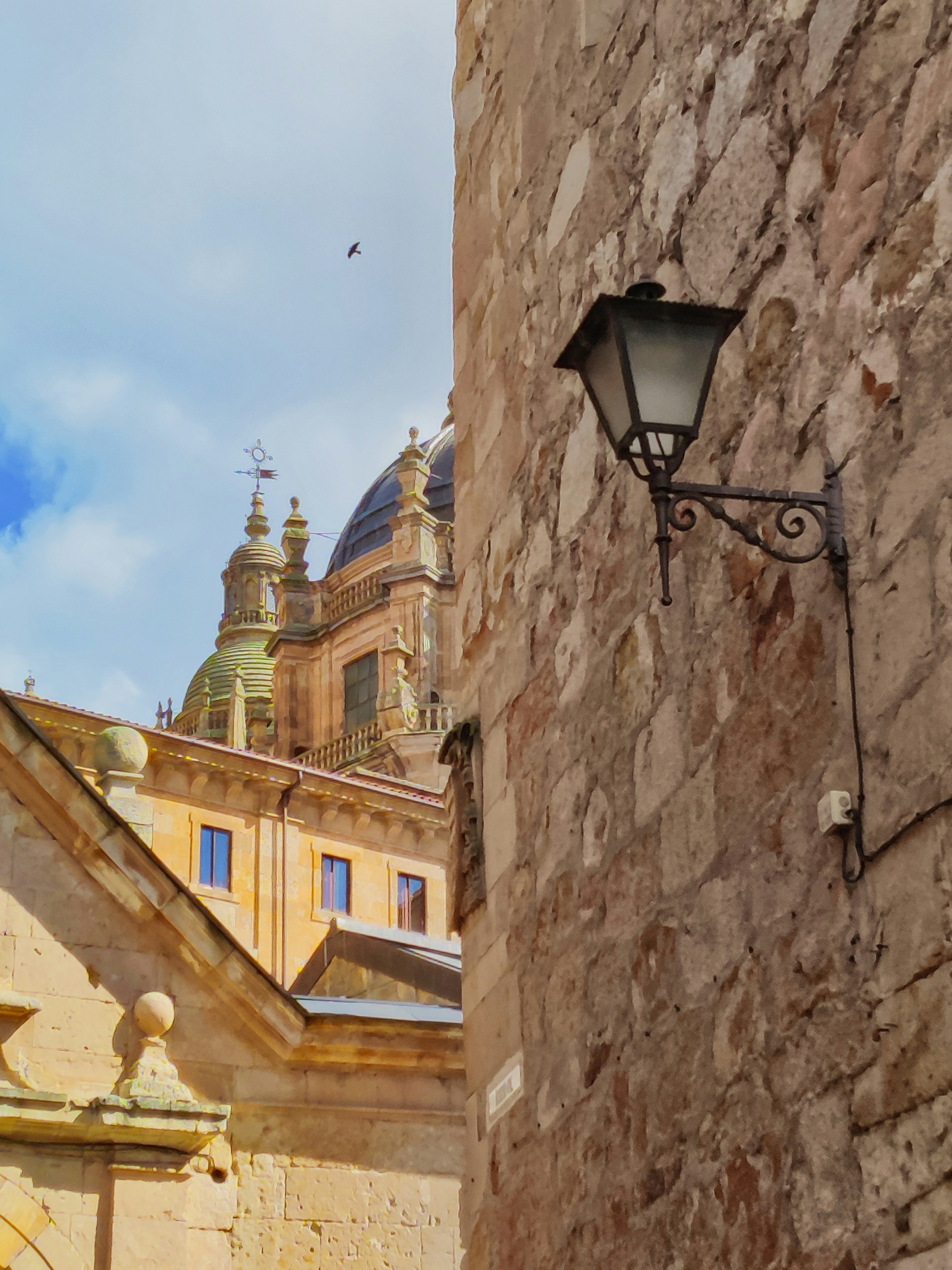 Ornate street lamp on stone wall with historic building.