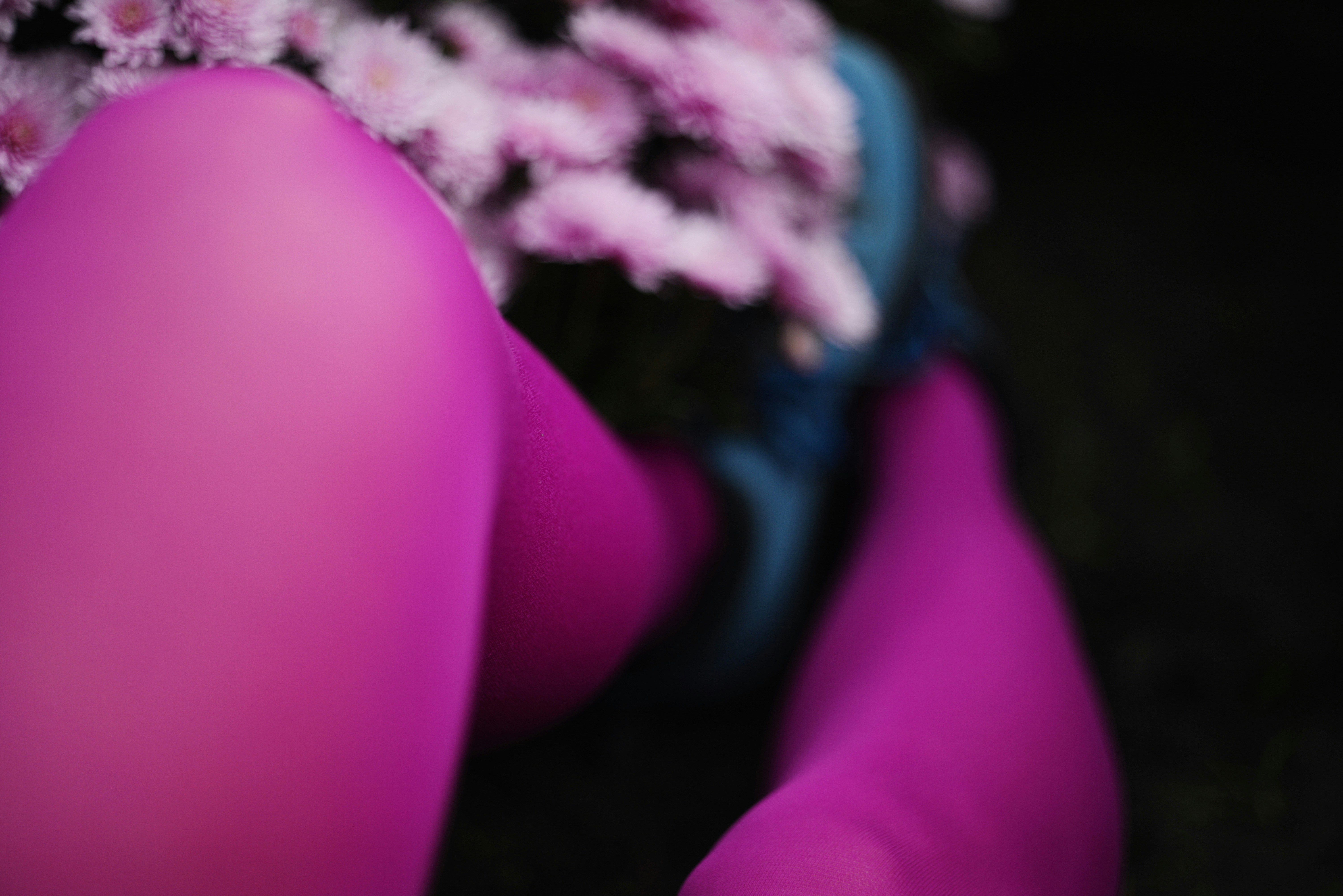 Pink tights and flowers against dark background