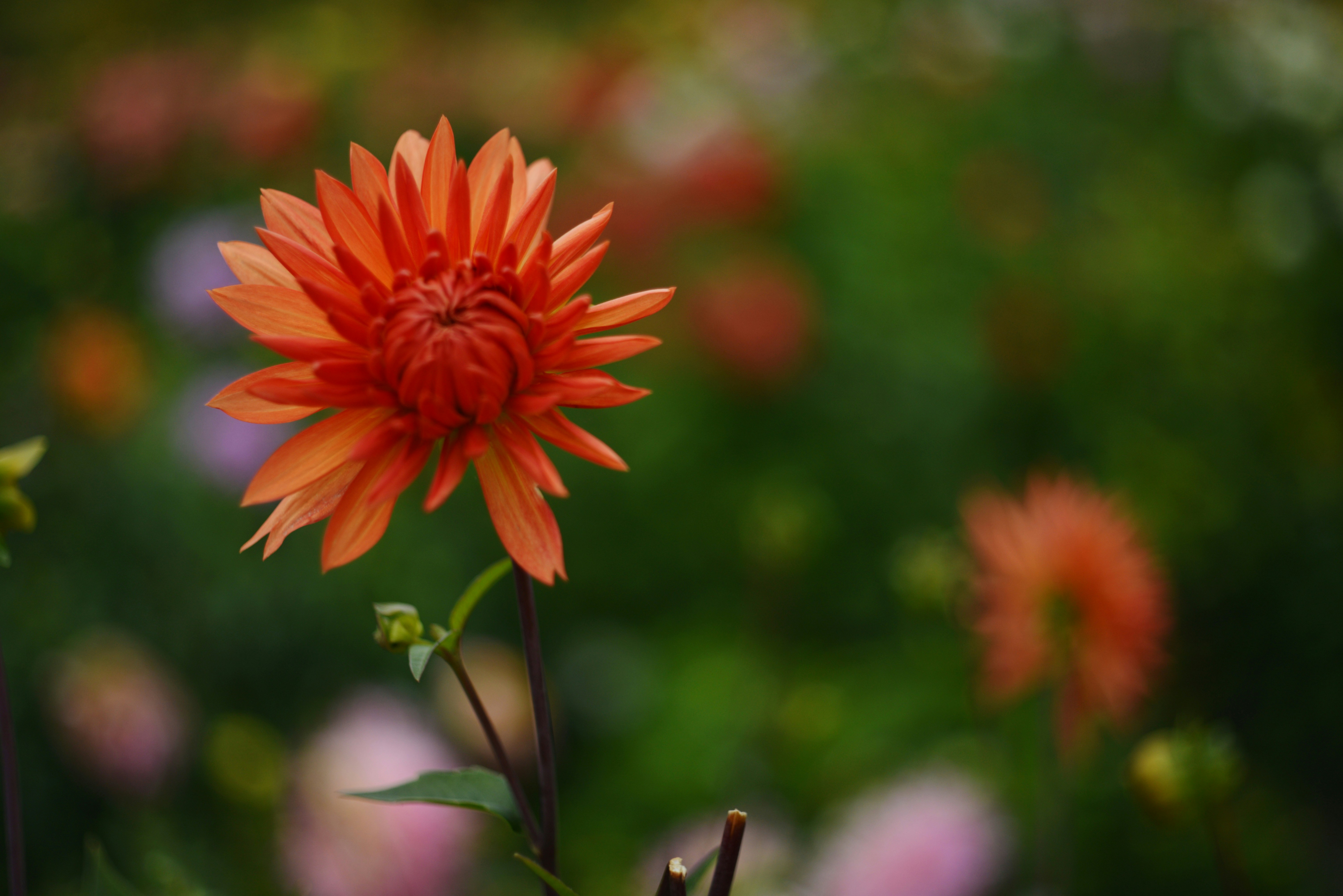 Photo by cherstve_pechivo