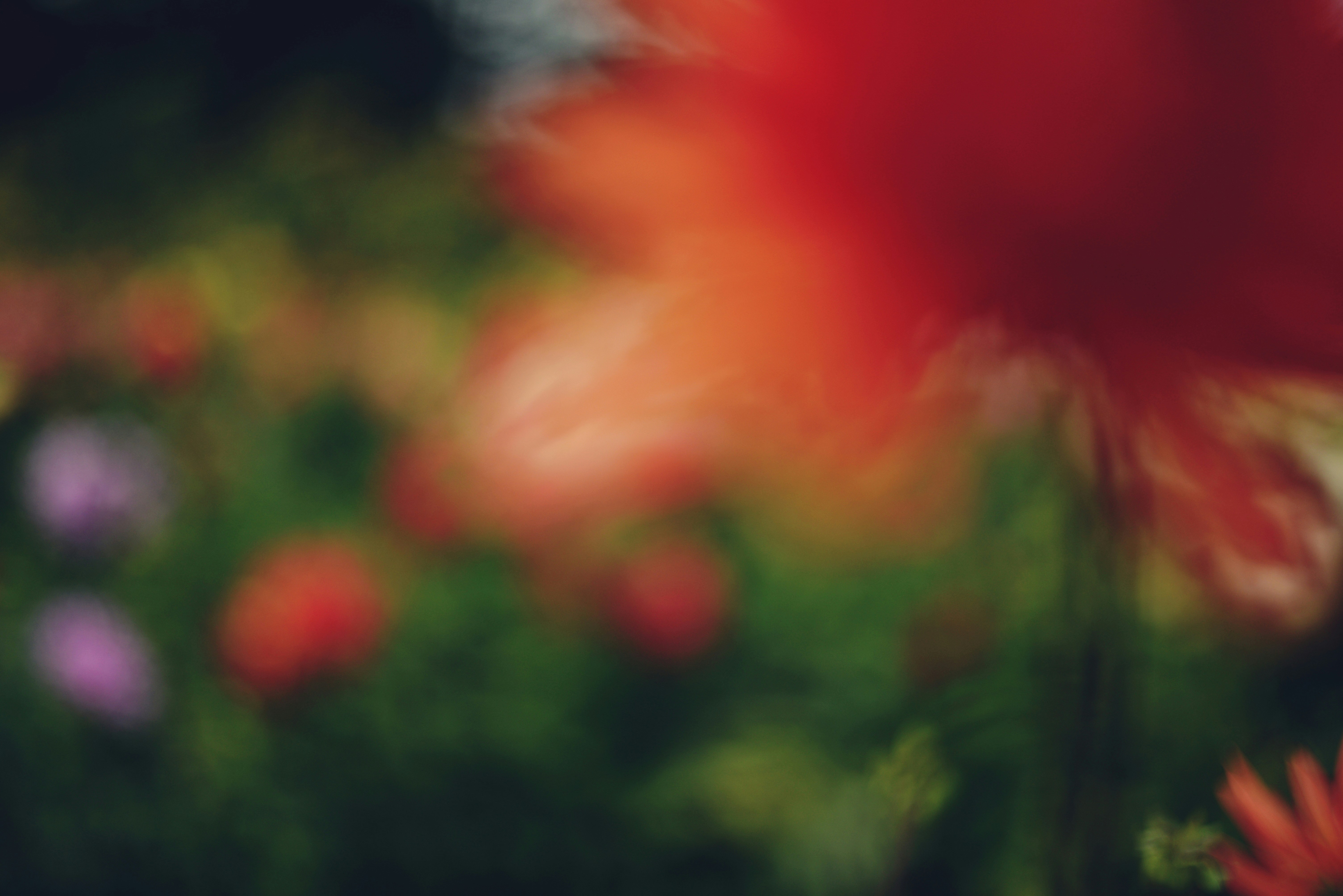 Photo by cherstve_pechivo