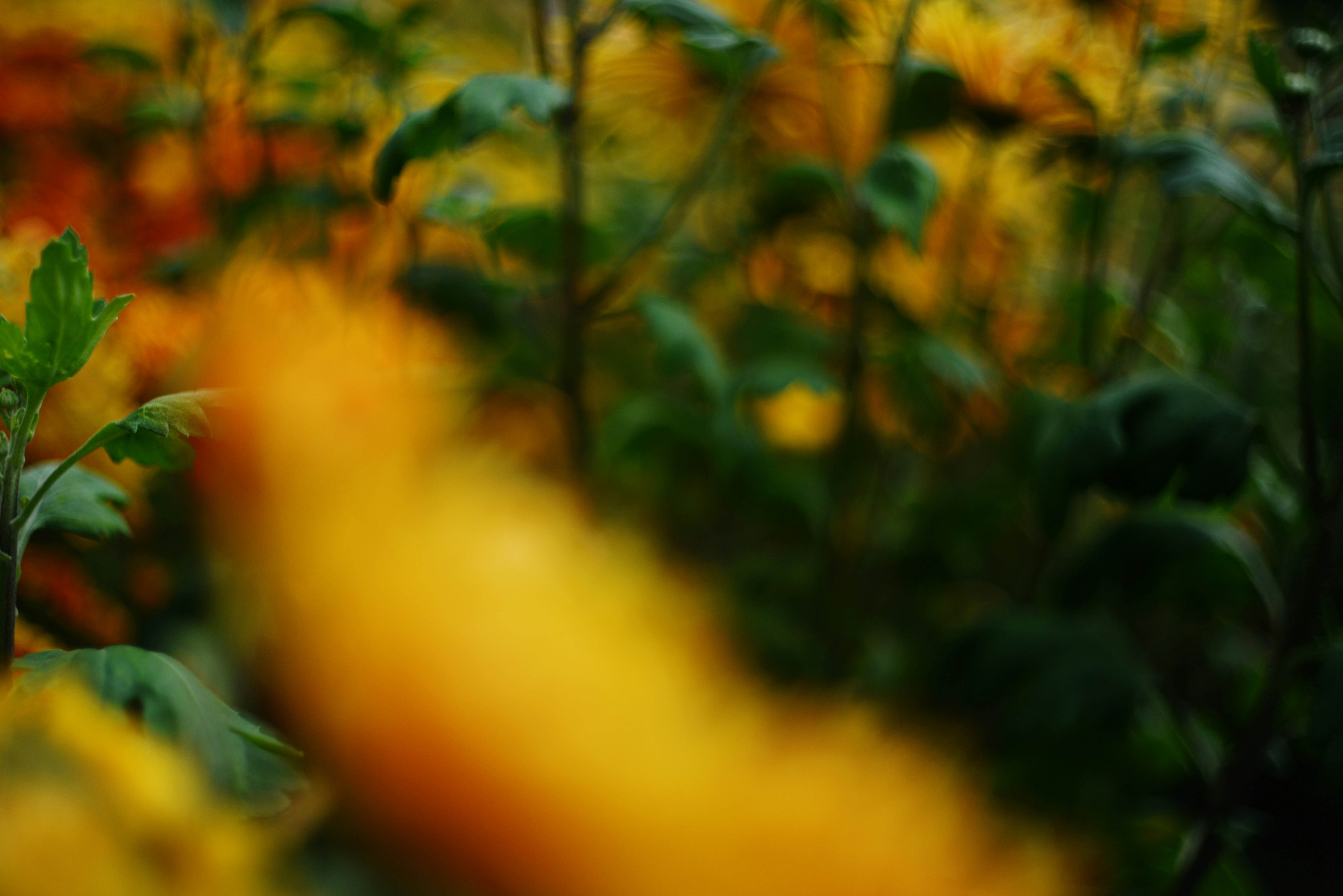 Photo by cherstve_pechivo