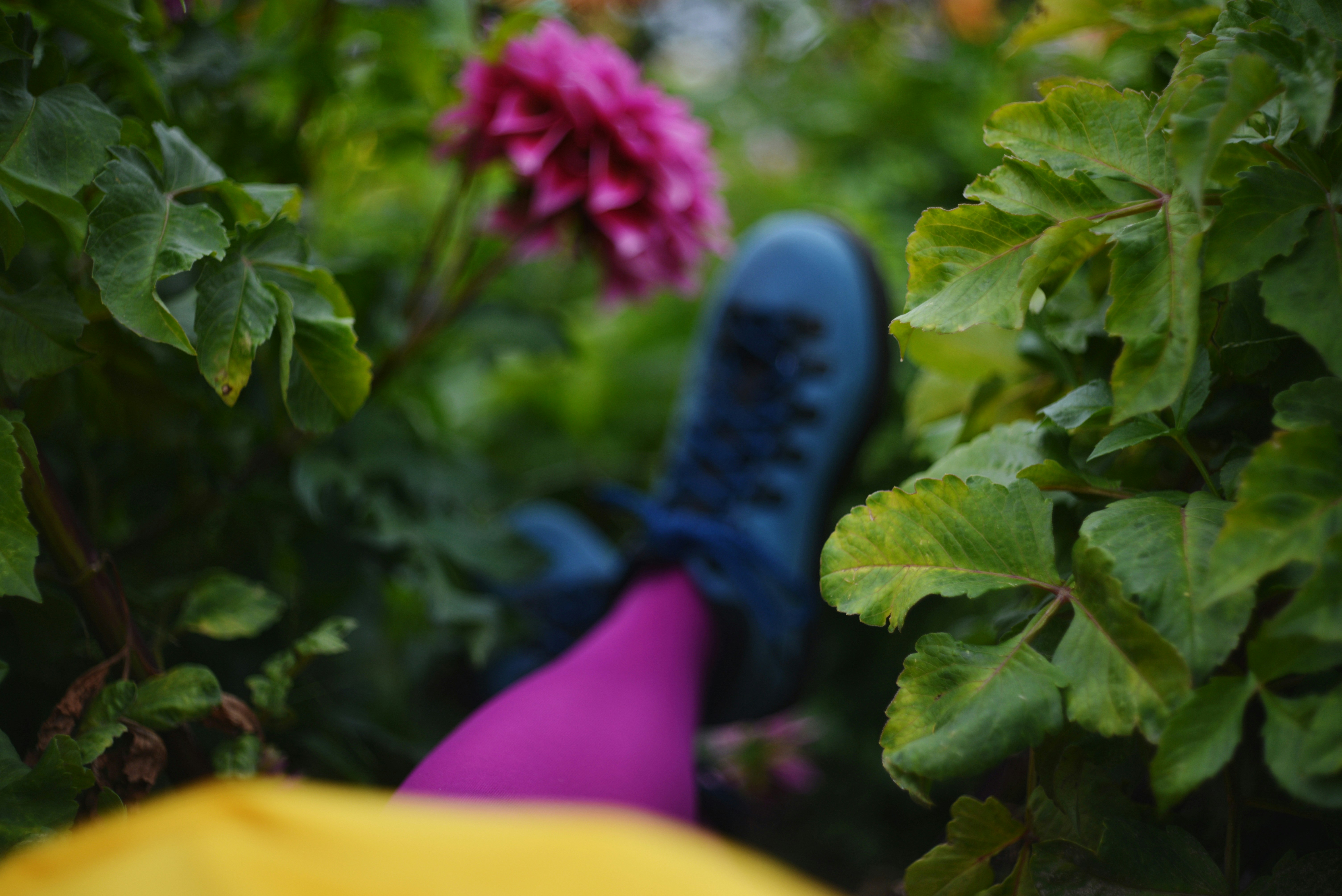 Photo by cherstve_pechivo