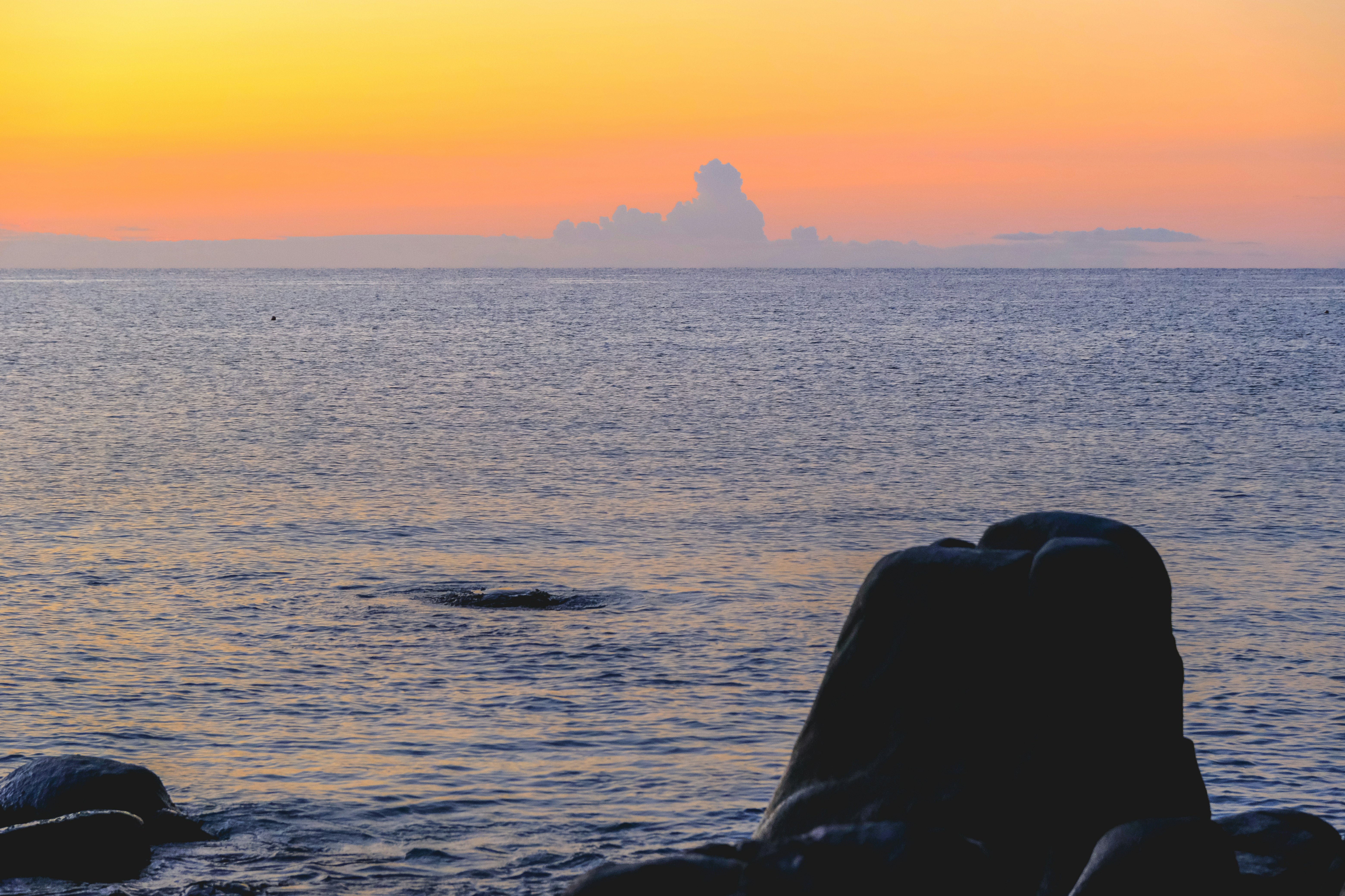 Calm ocean with a rocky shore at sunset.