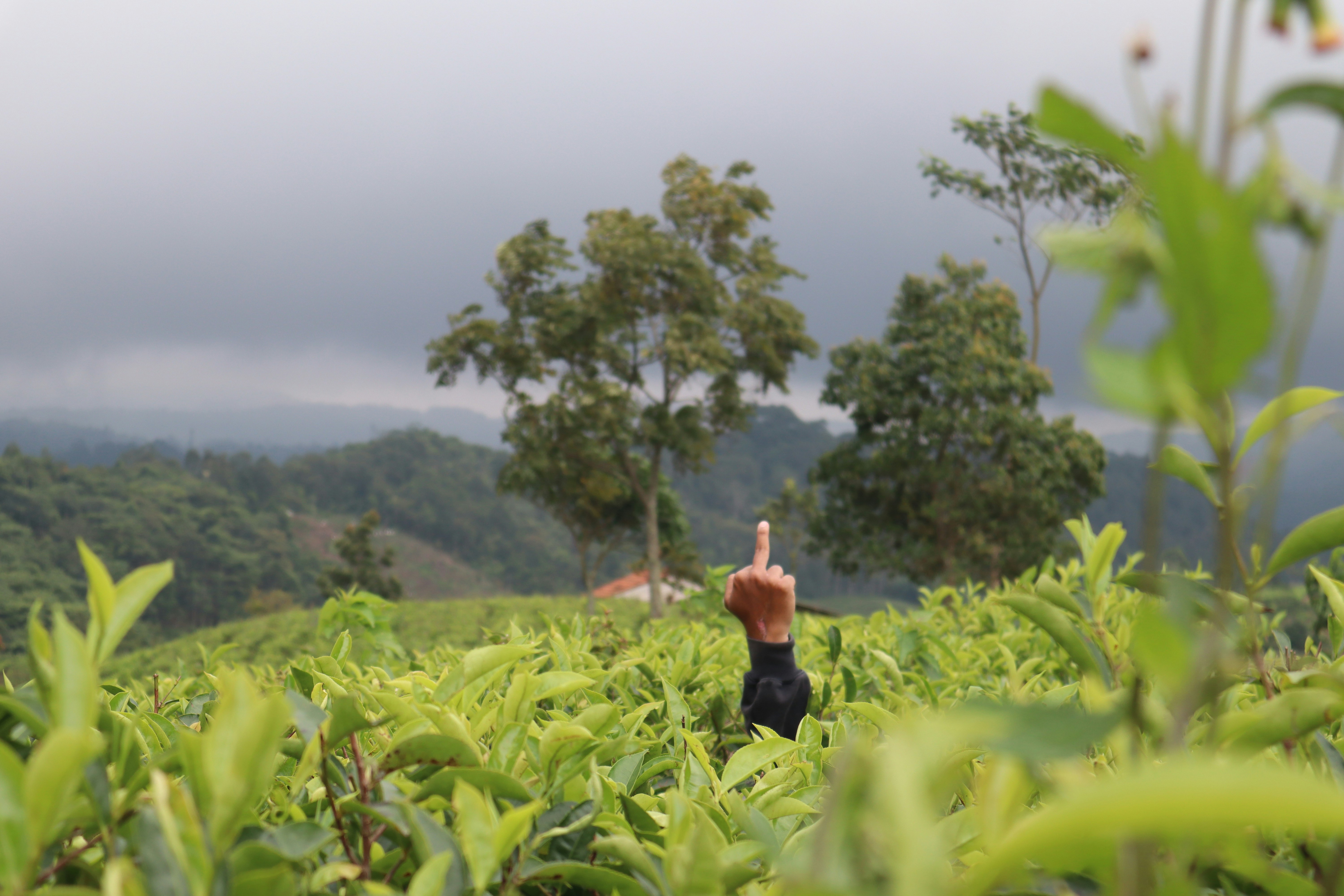 Our Controversial (In progress)