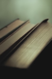 A row of old books with a soft background.