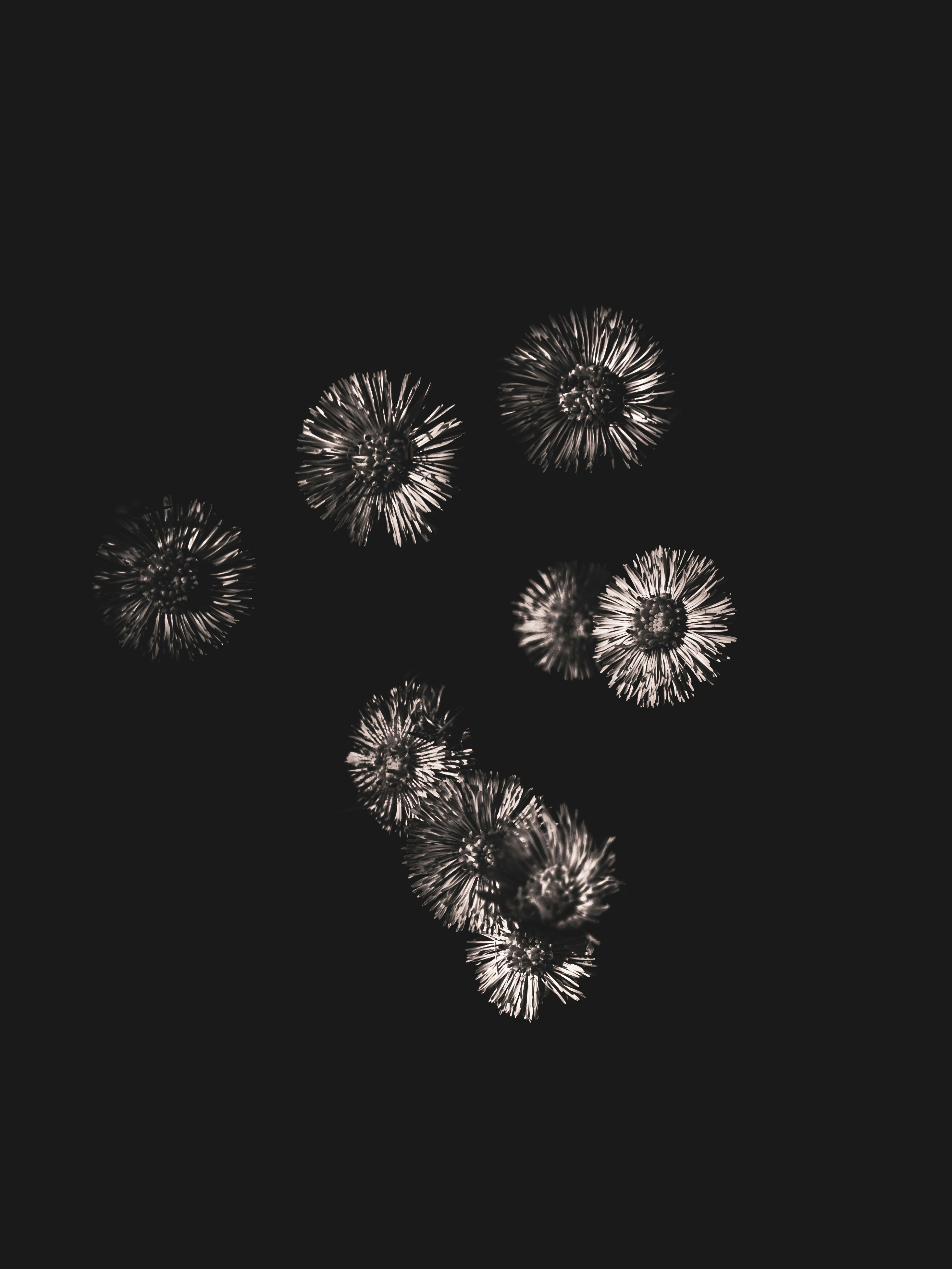 Photo by alexisnthere_