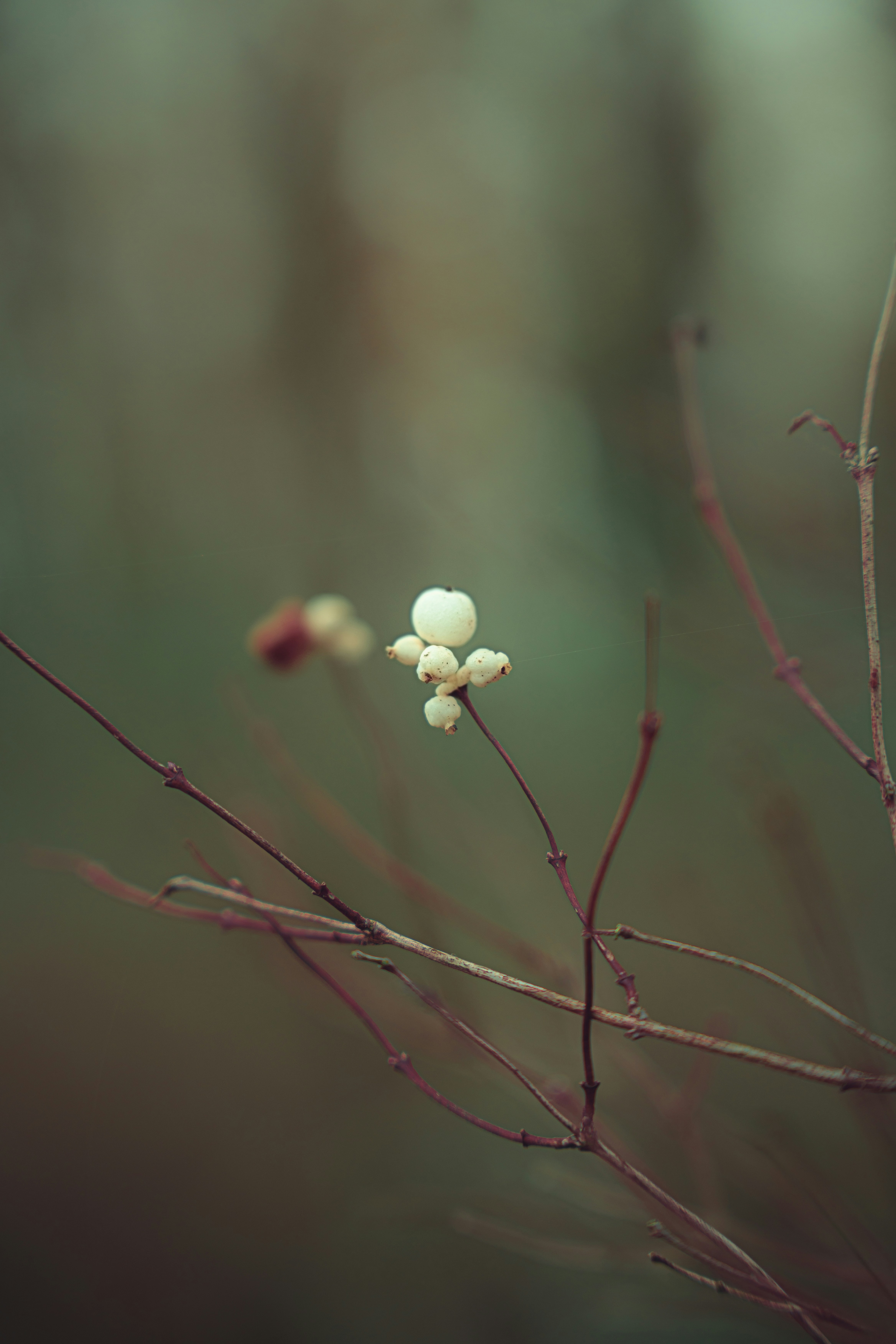 Photo by alexisnthere_