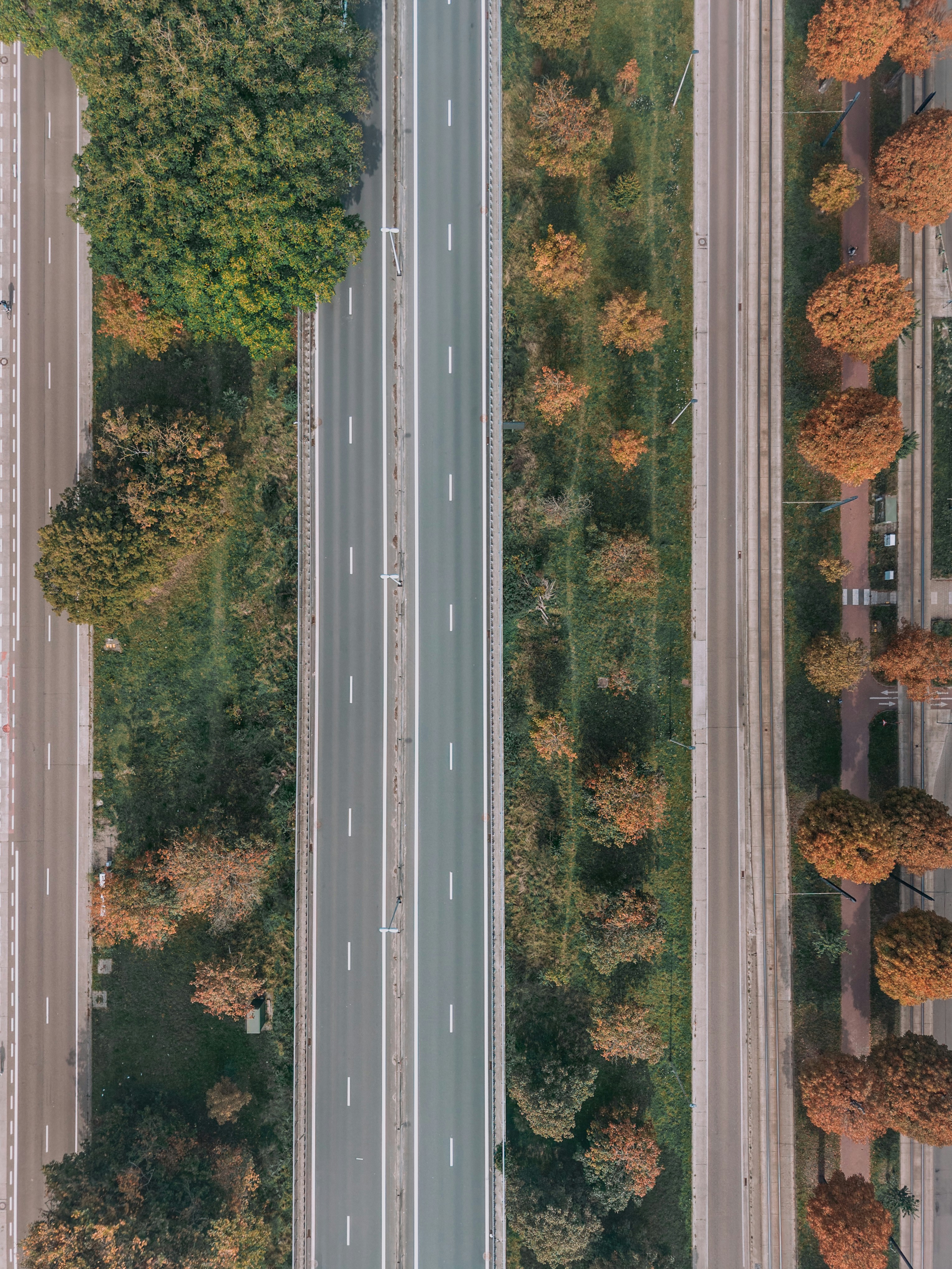 Aerial view of a highway with trees on the sides.