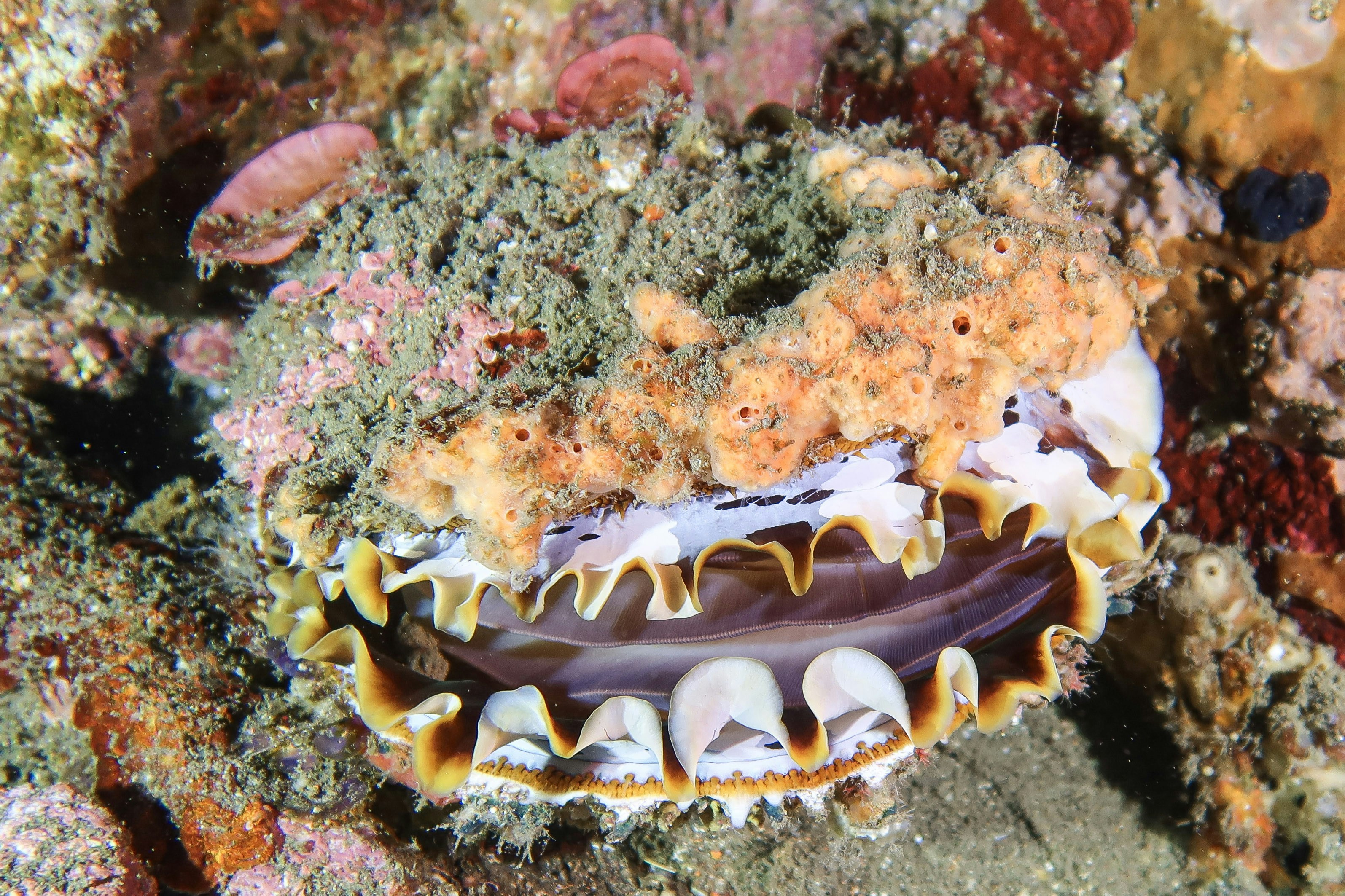 Photo by katja_zlotnikova