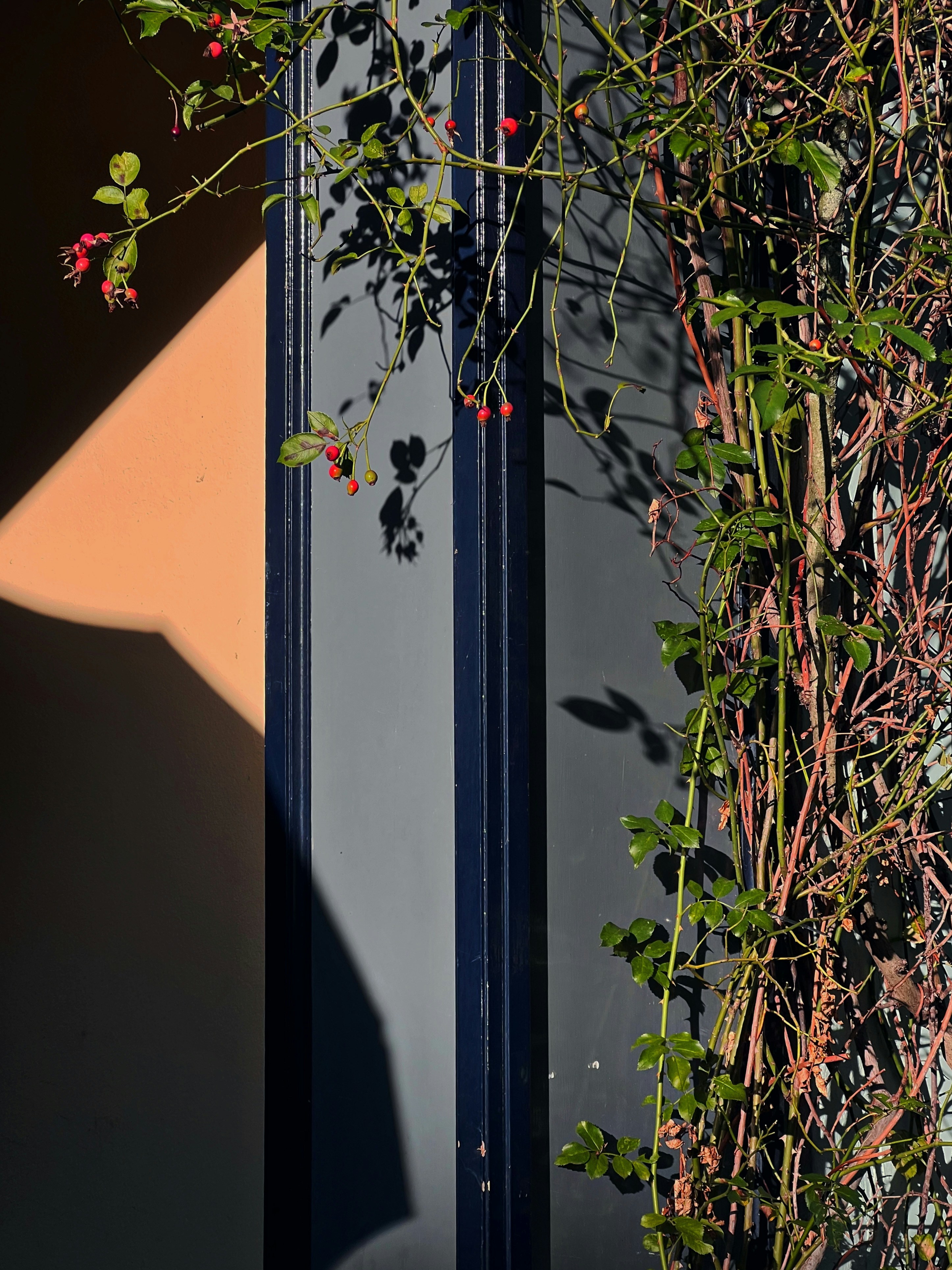 Photo by shaimaaasami