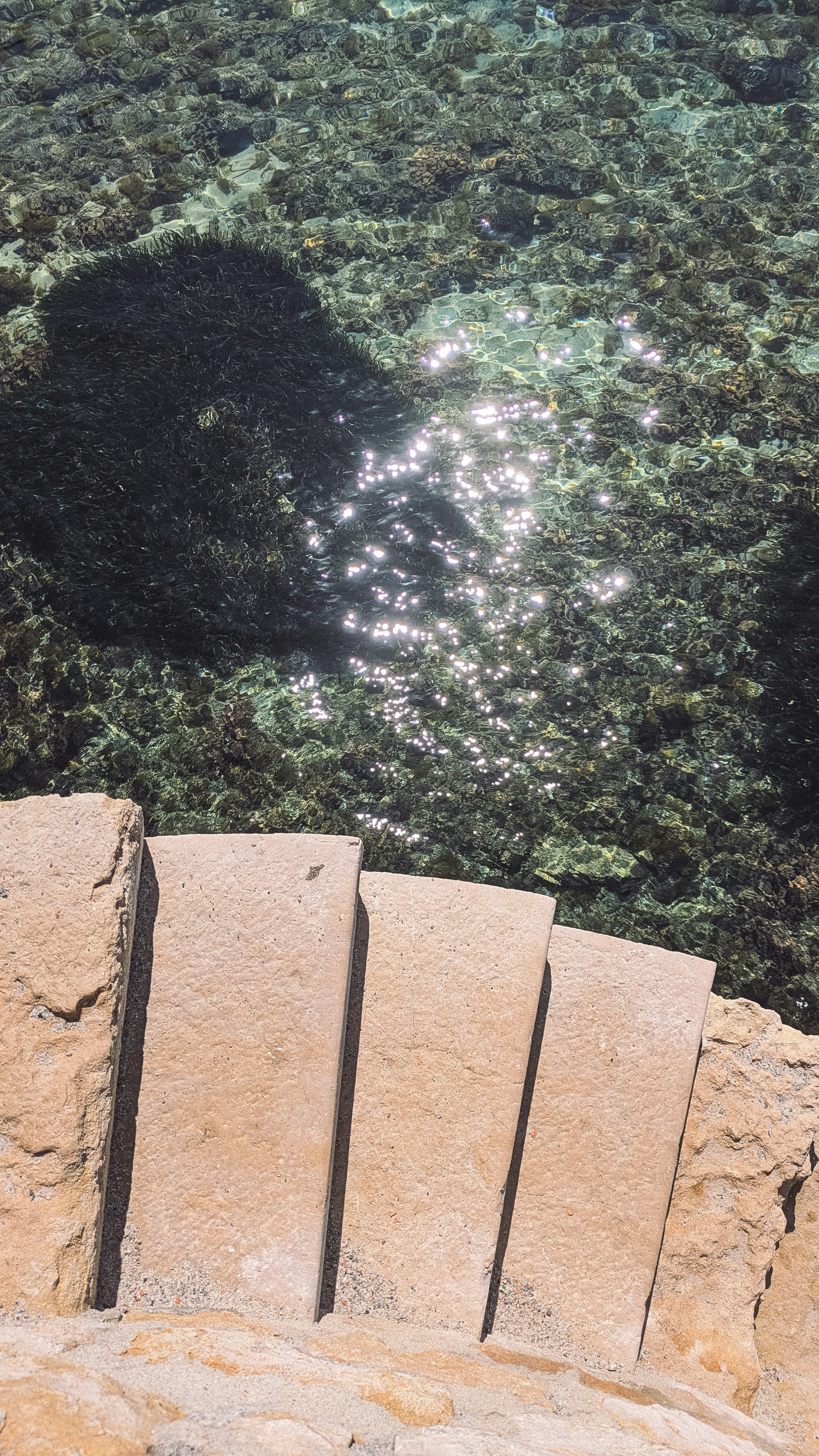 Stone stairs leading to clear water with fish