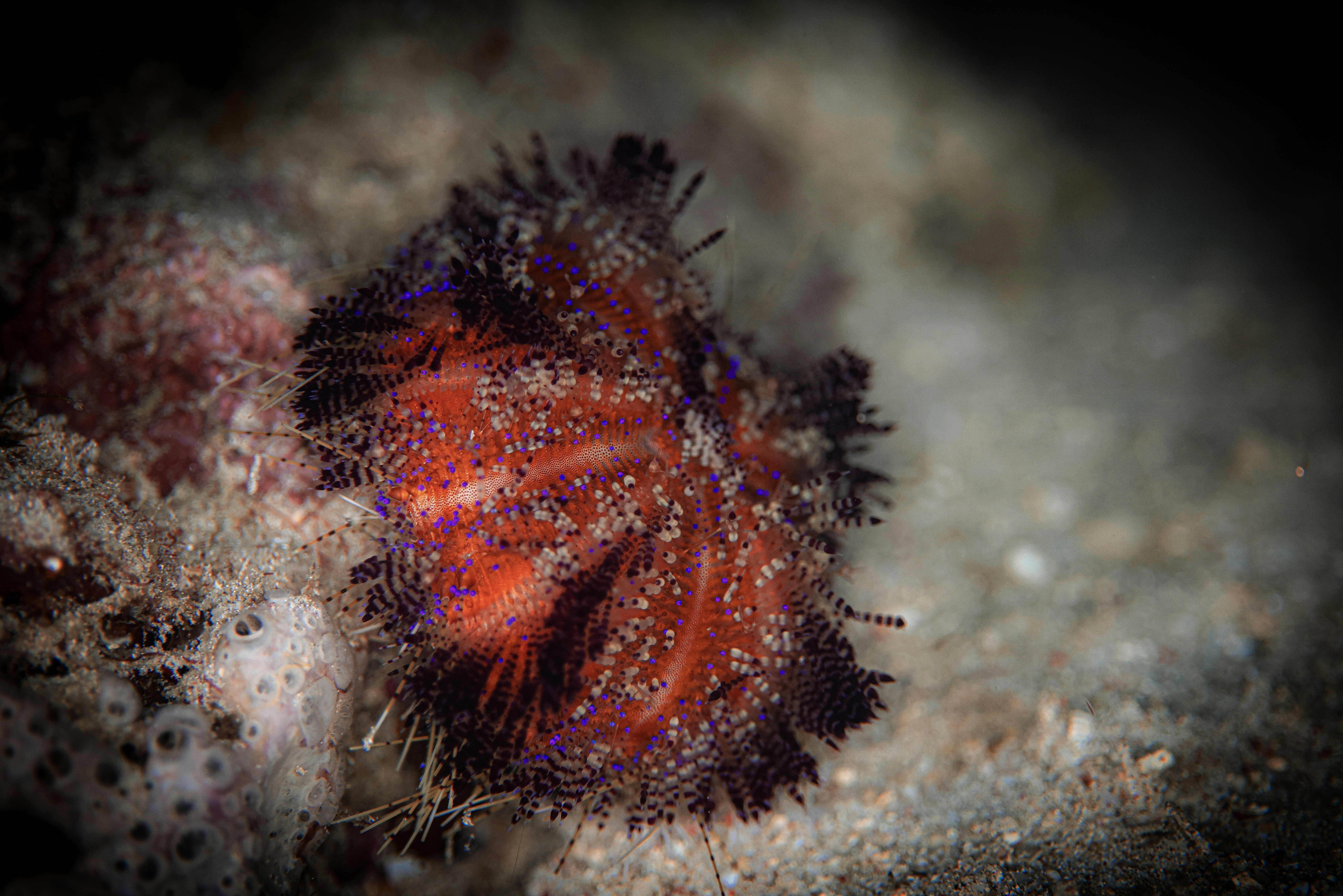 Photo by katja_zlotnikova