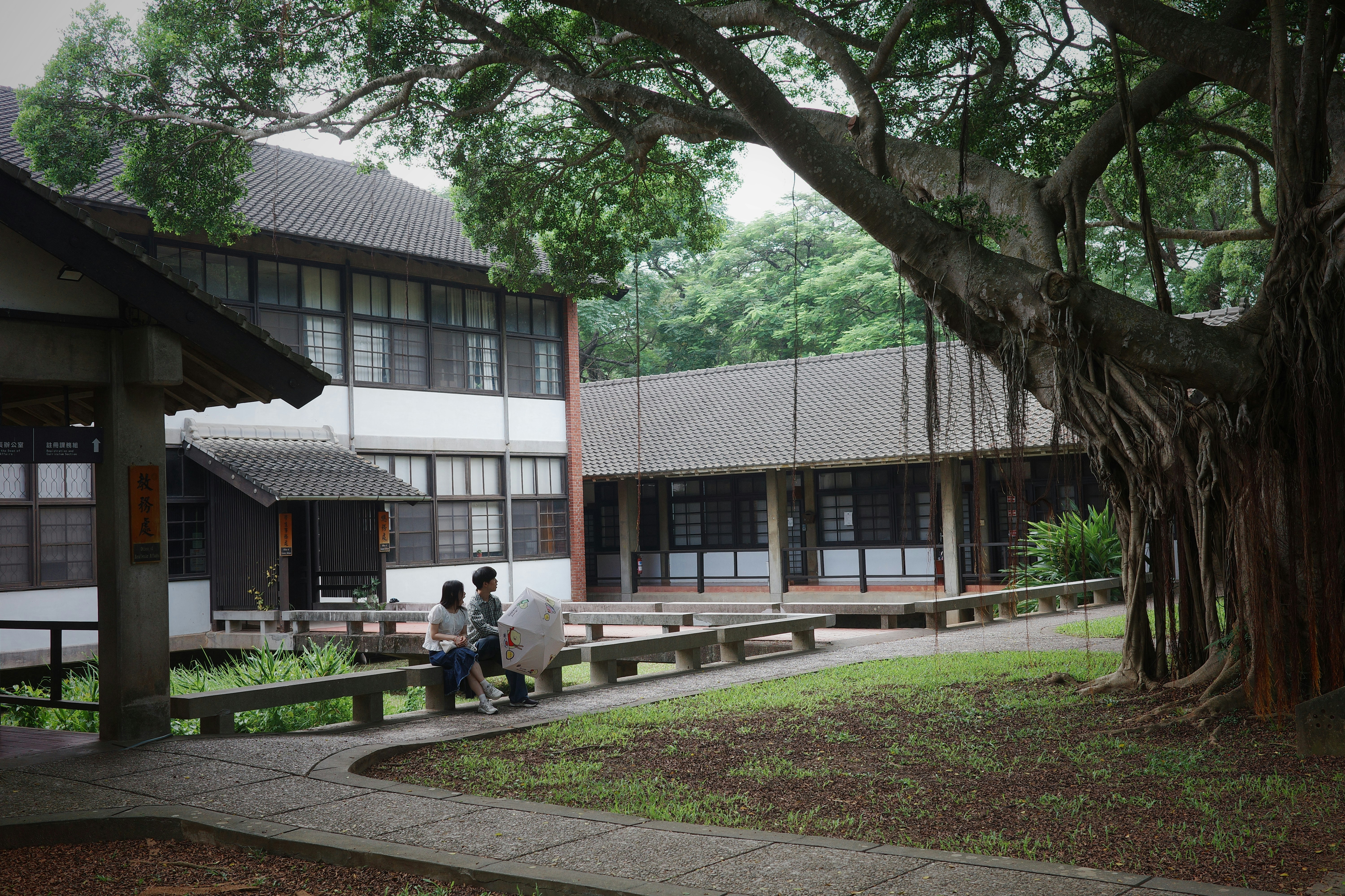 Two people walk past buildings under a large tree.