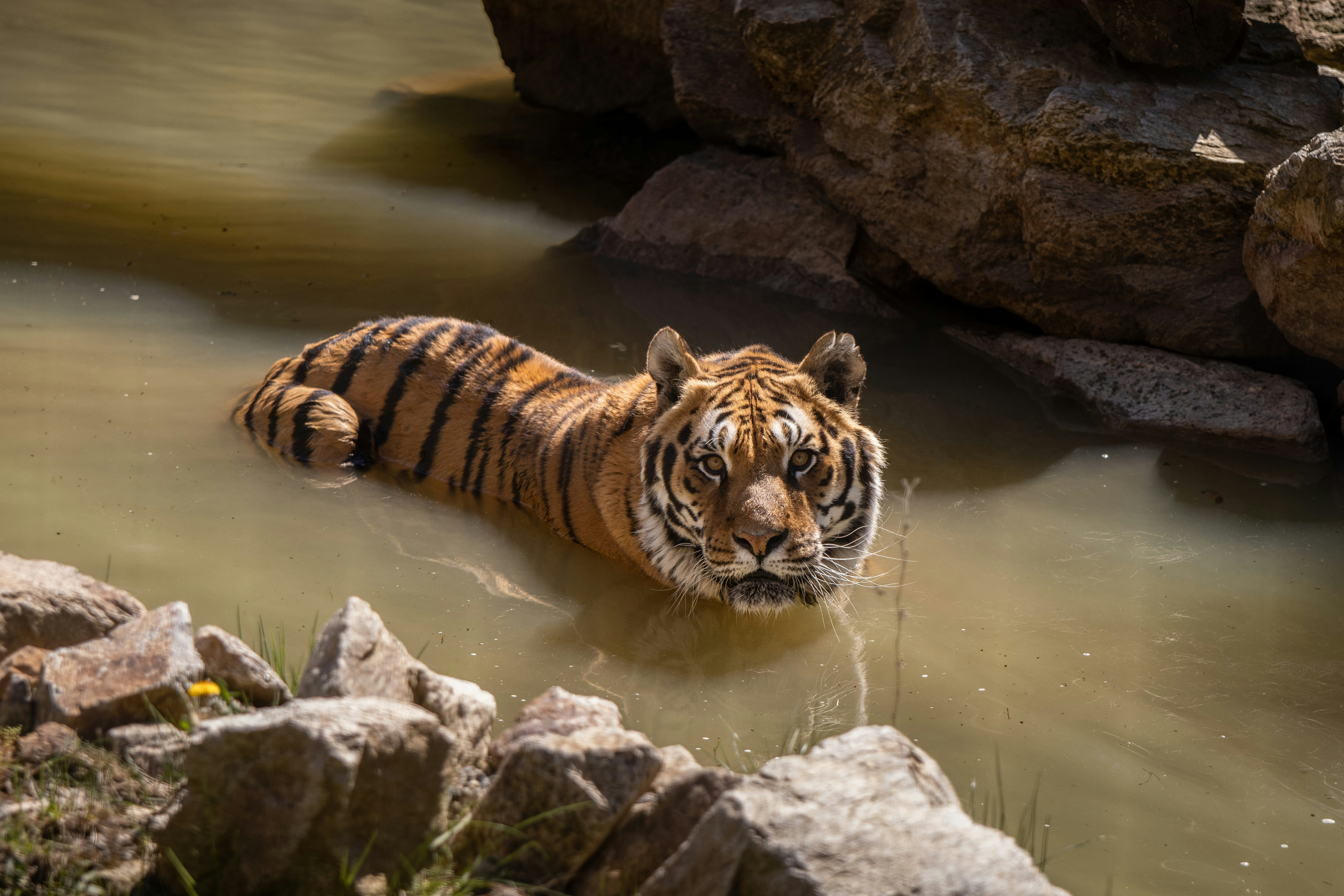 Tiger Leaping Gorge Backpacking Budget Itinerary 2026