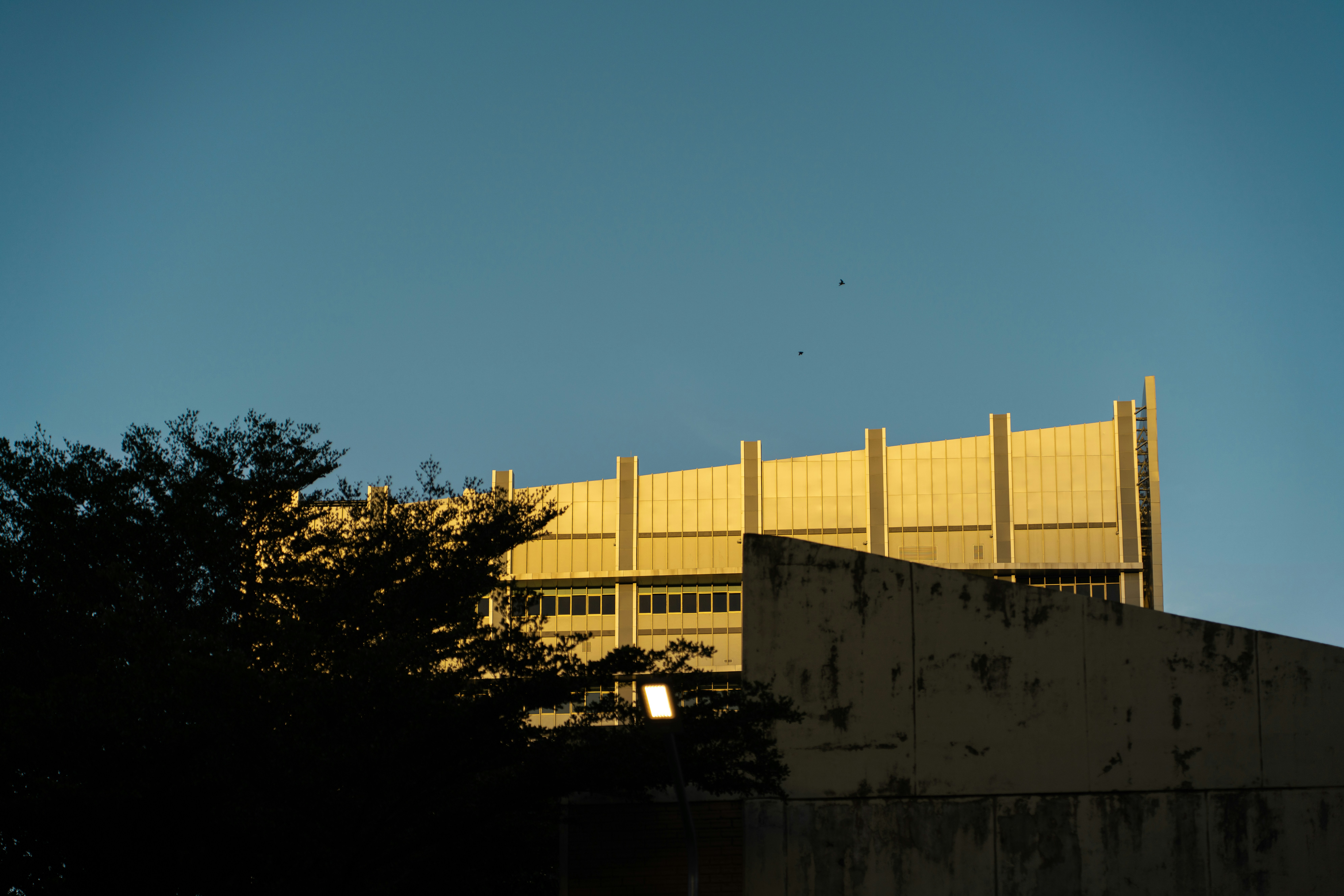 Modern government building