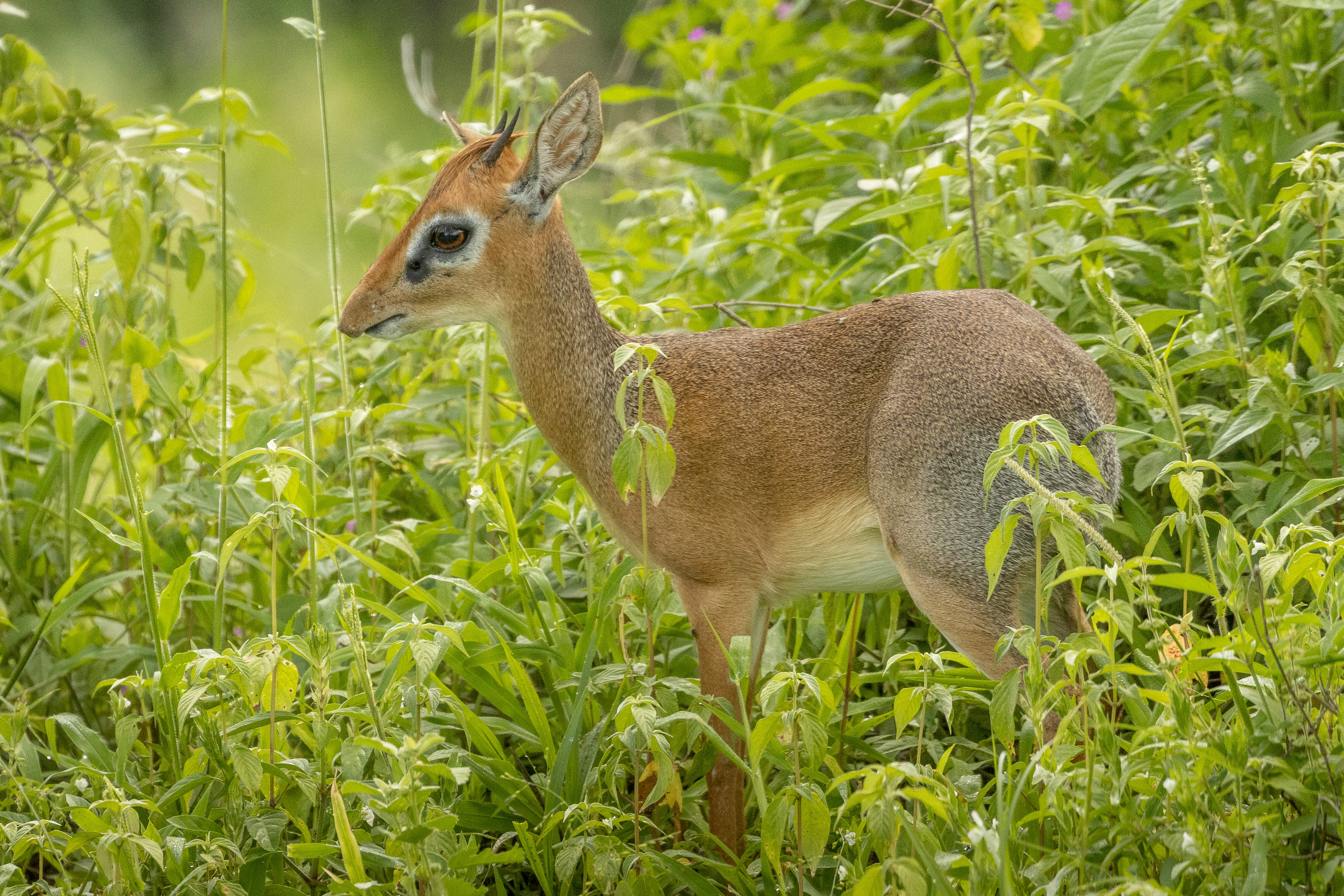 Photo by pascal_gambin