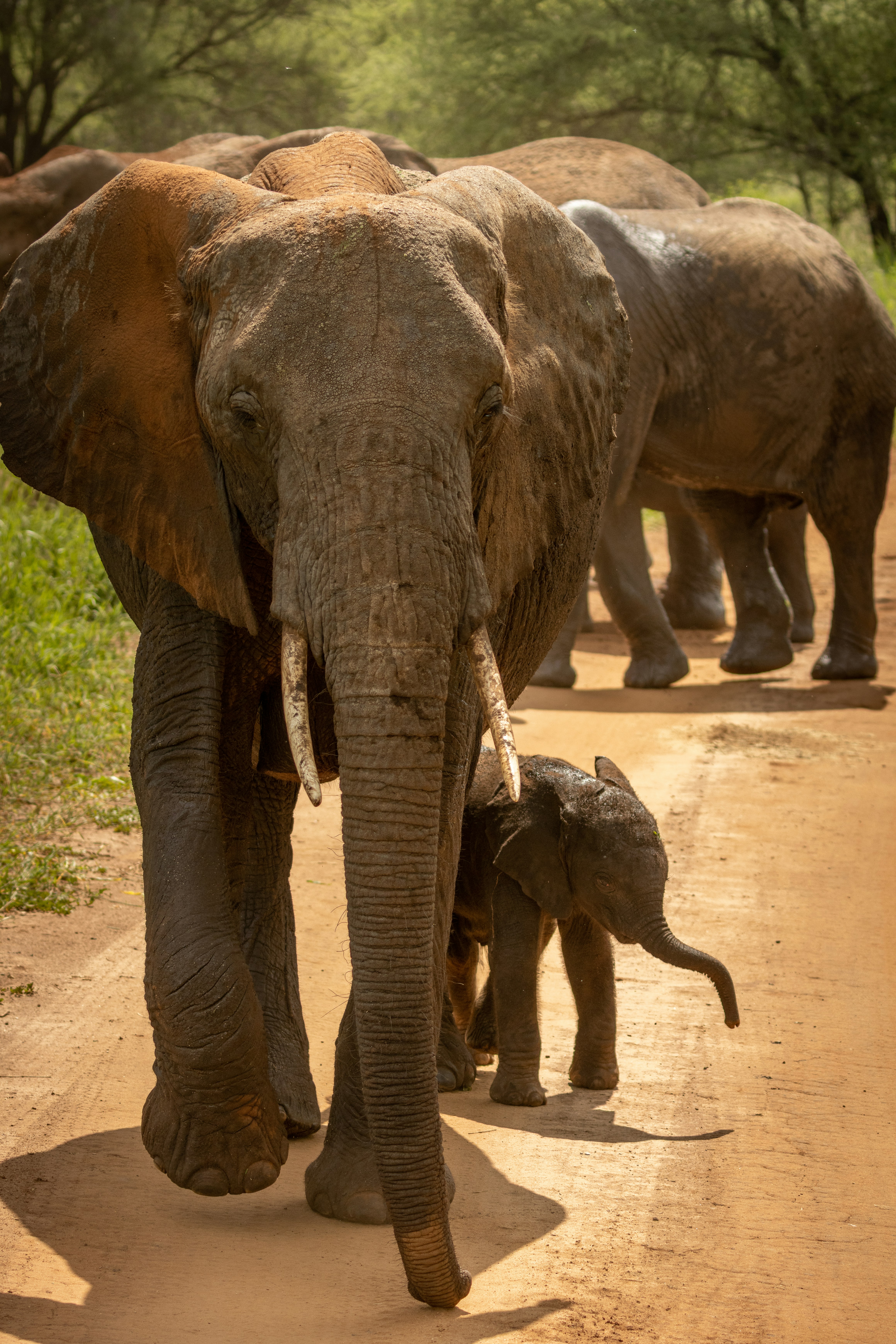 Photo by pascal_gambin