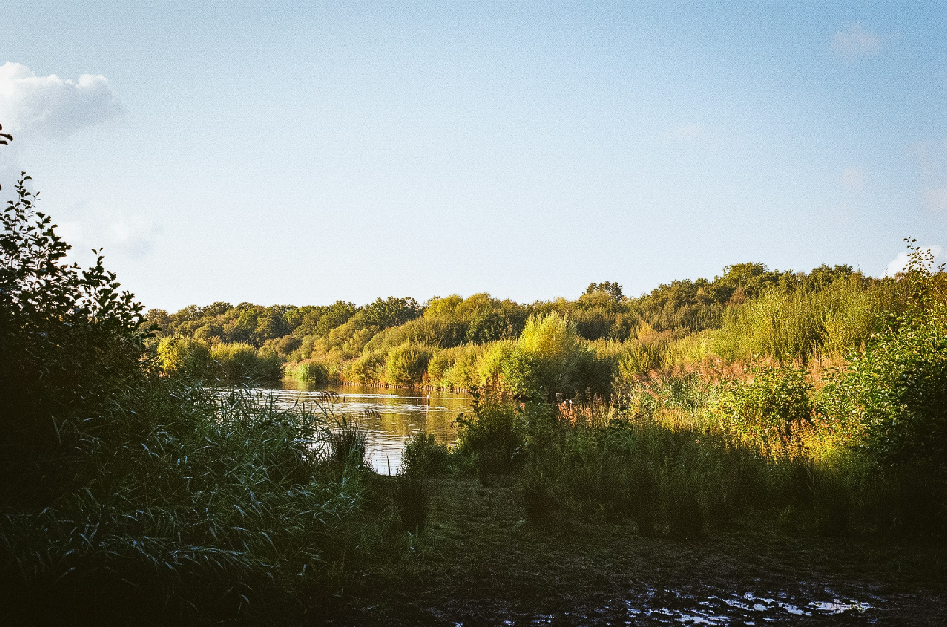 Photo by tanyabarrow