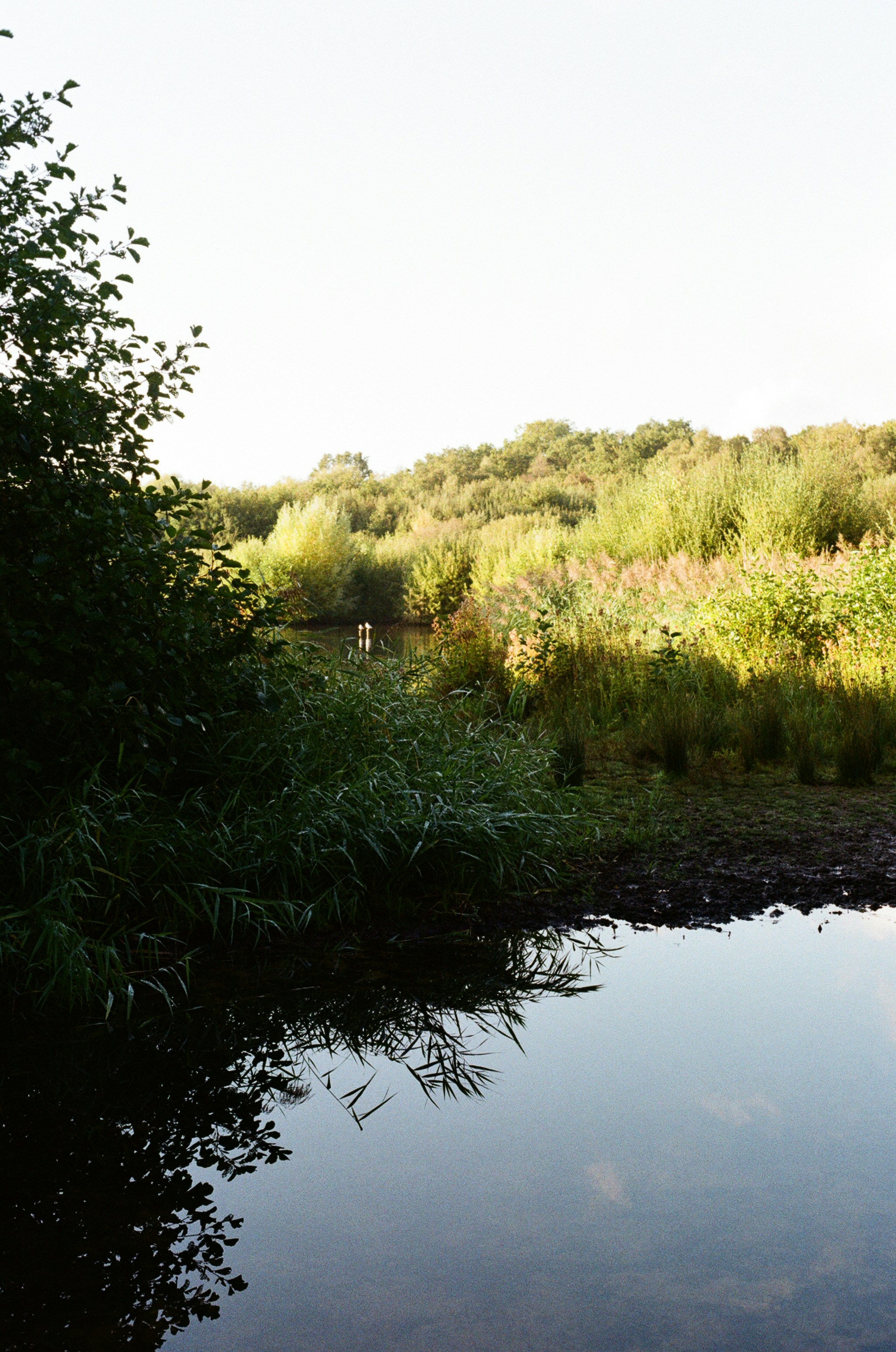 Photo by tanyabarrow