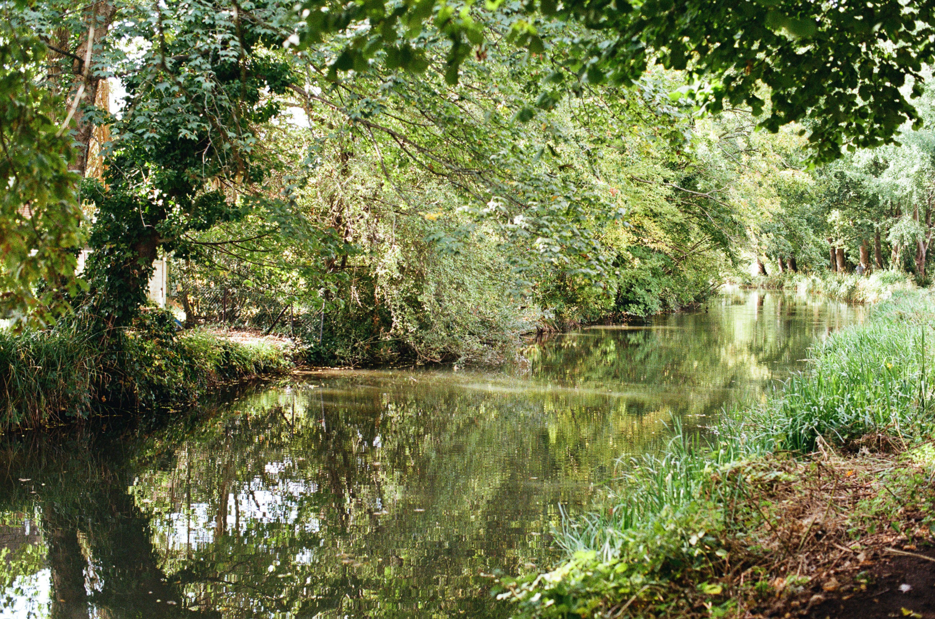 Photo by tanyabarrow