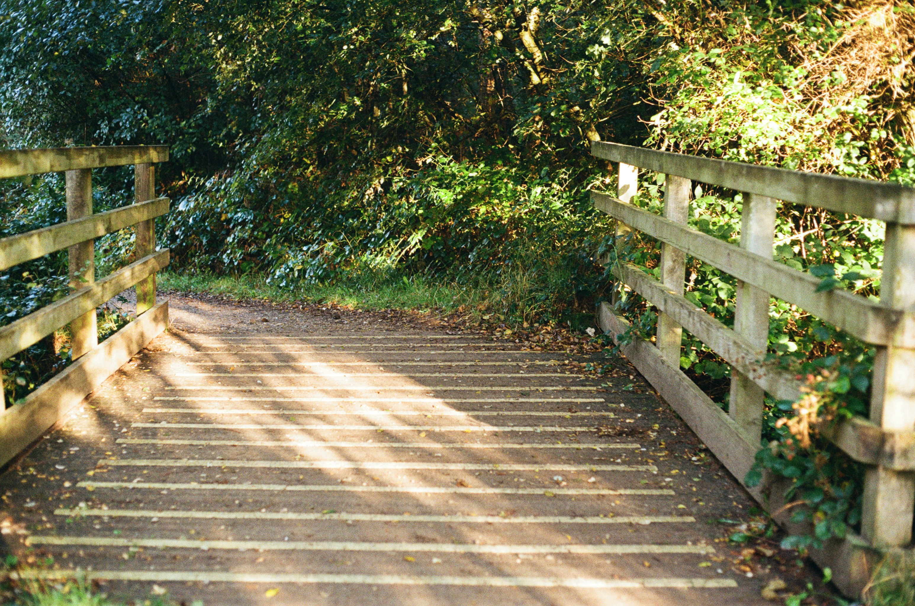 Photo by tanyabarrow