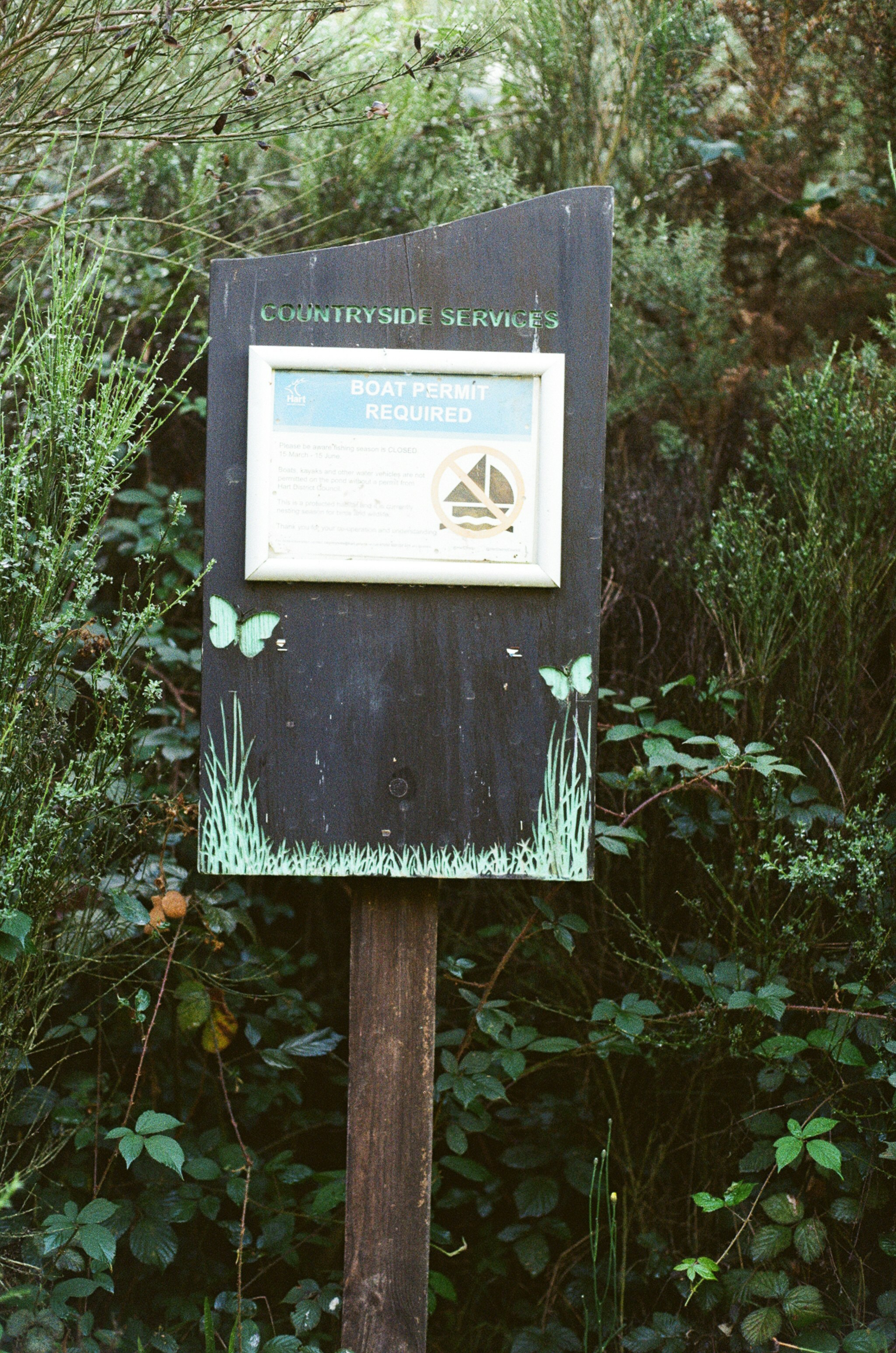 Countryside services sign with butterflies and greenery.