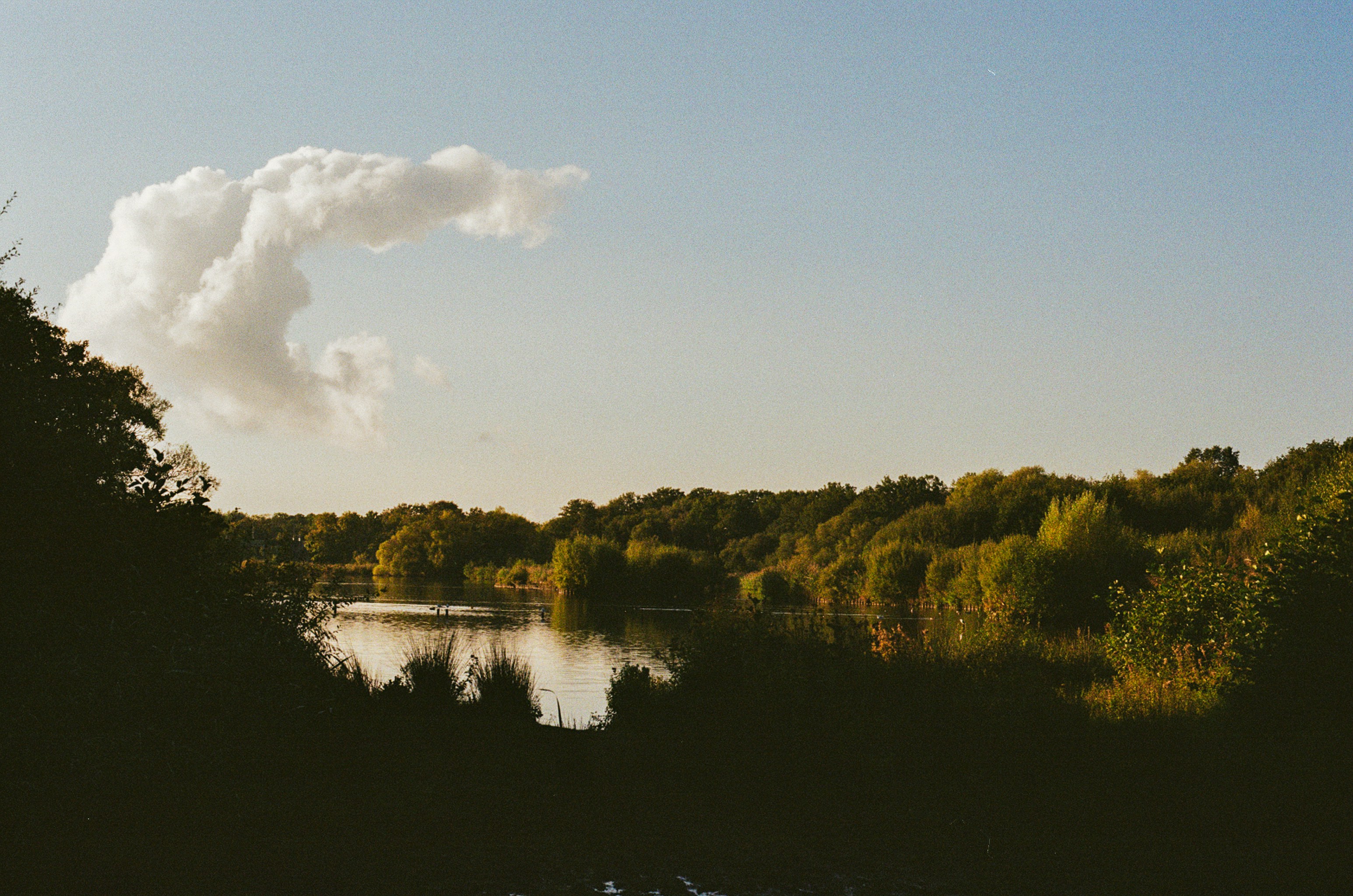 Photo by tanyabarrow