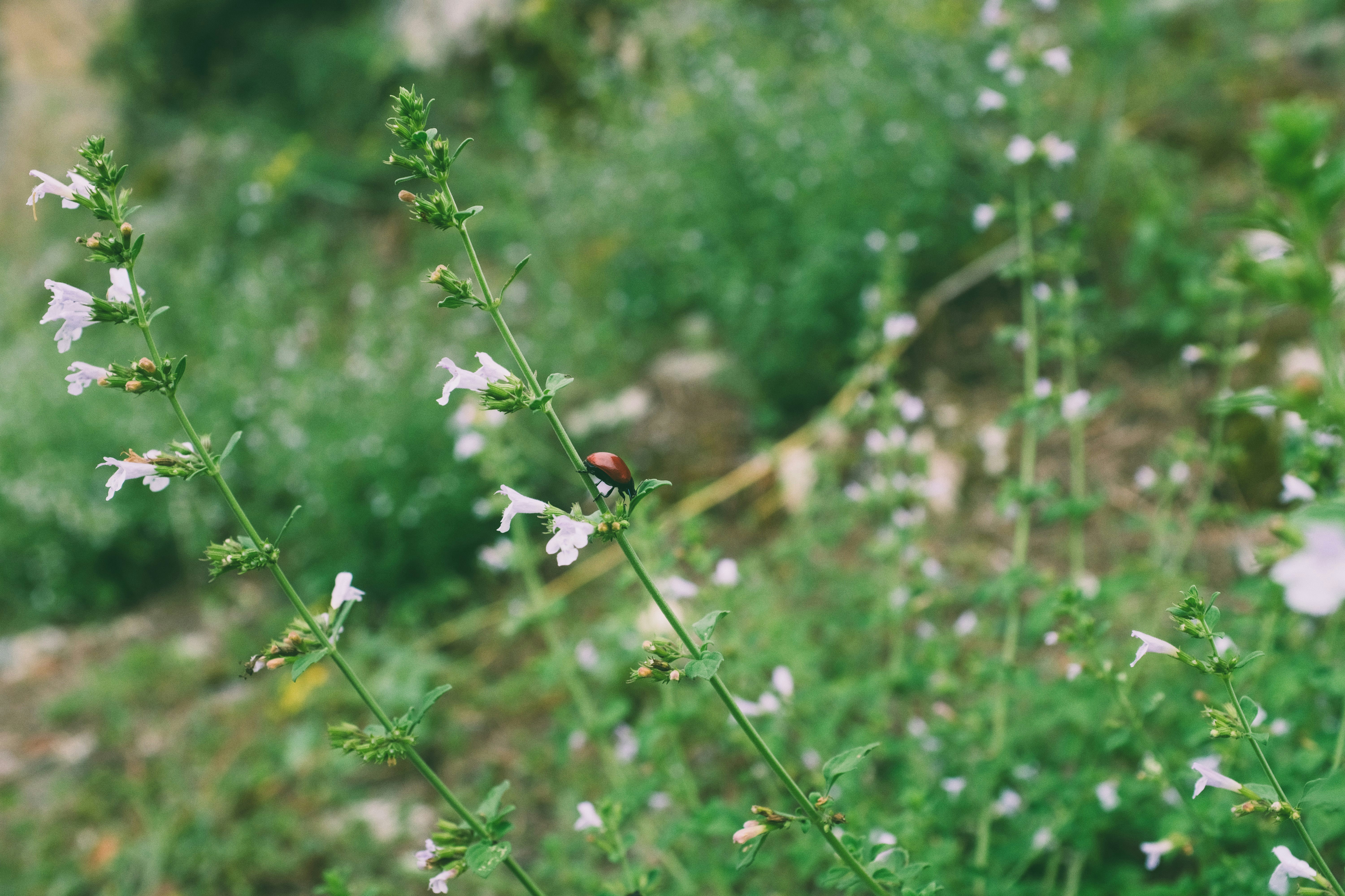 Photo by comebackjessica