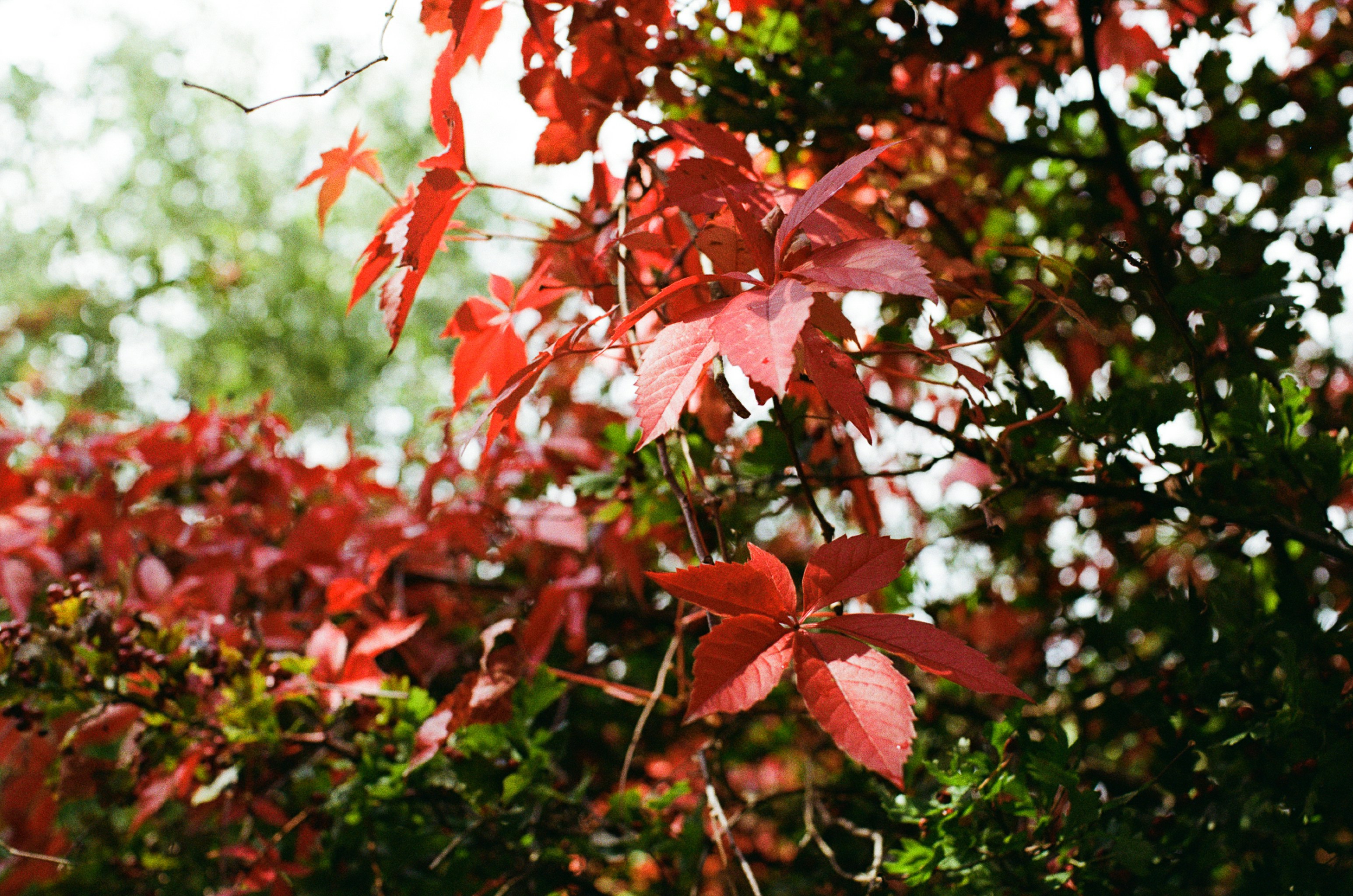 Photo by tanyabarrow